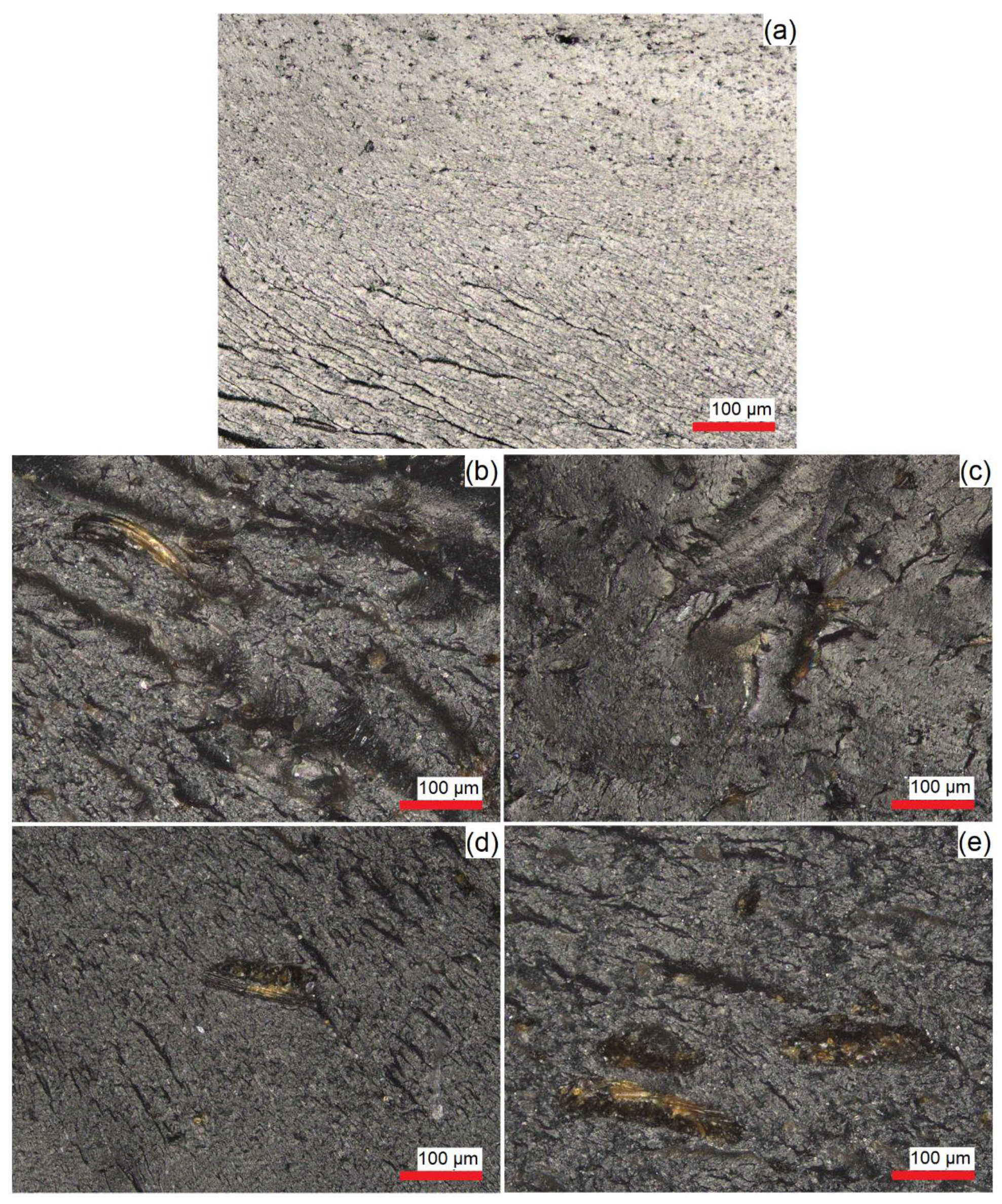 Polymers 14 03210 g004