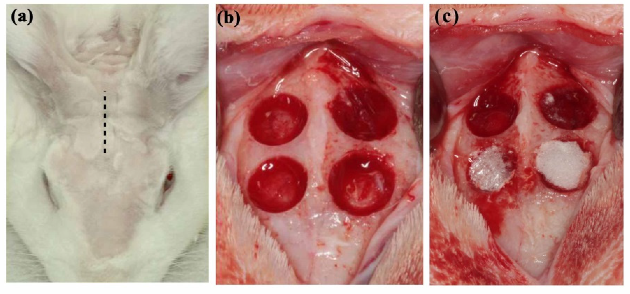 Polymers 14 03211 g001 Polymers 14 03211 g001