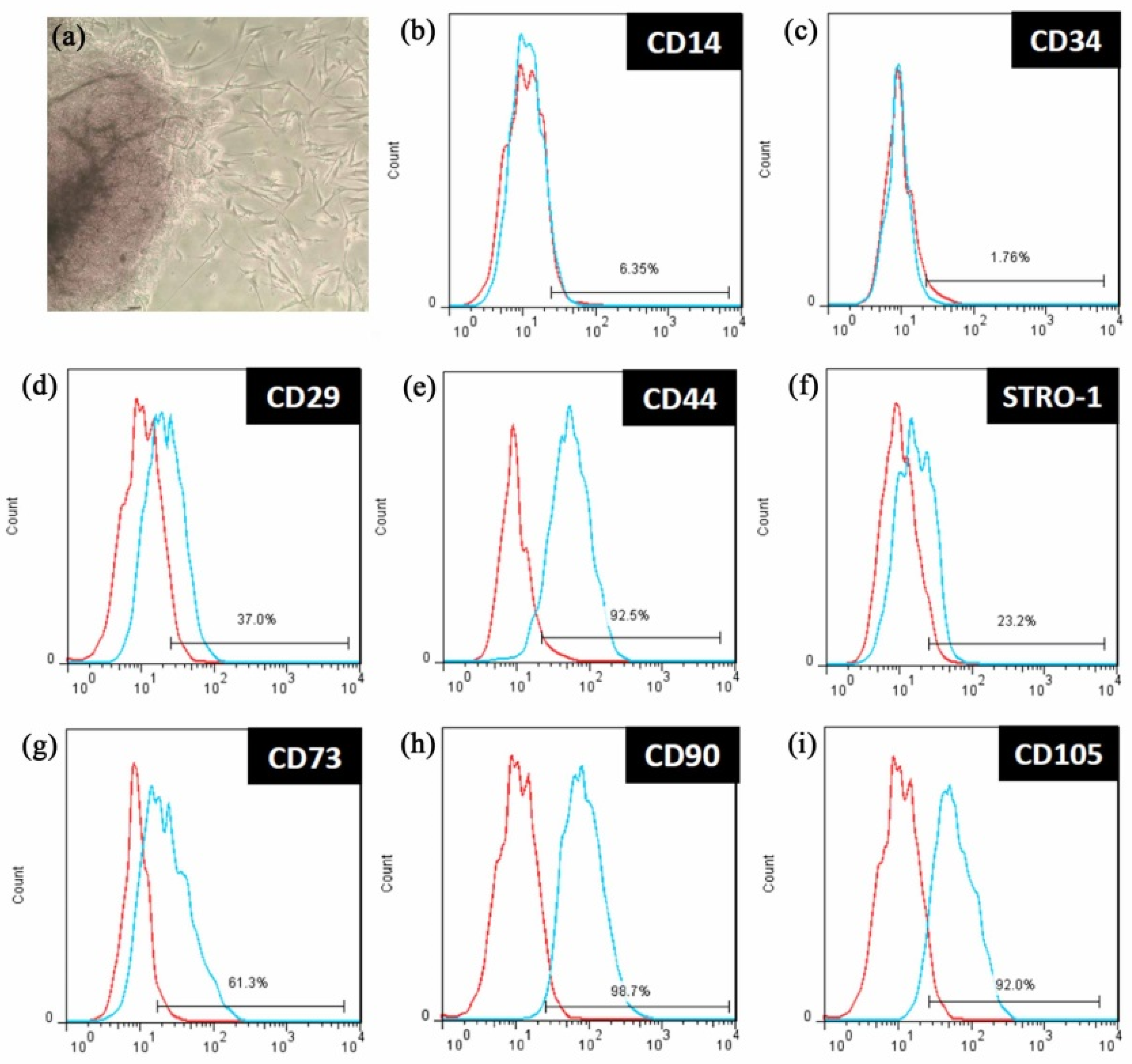 Polymers 14 03211 g002 Polymers 14 03211 g002
