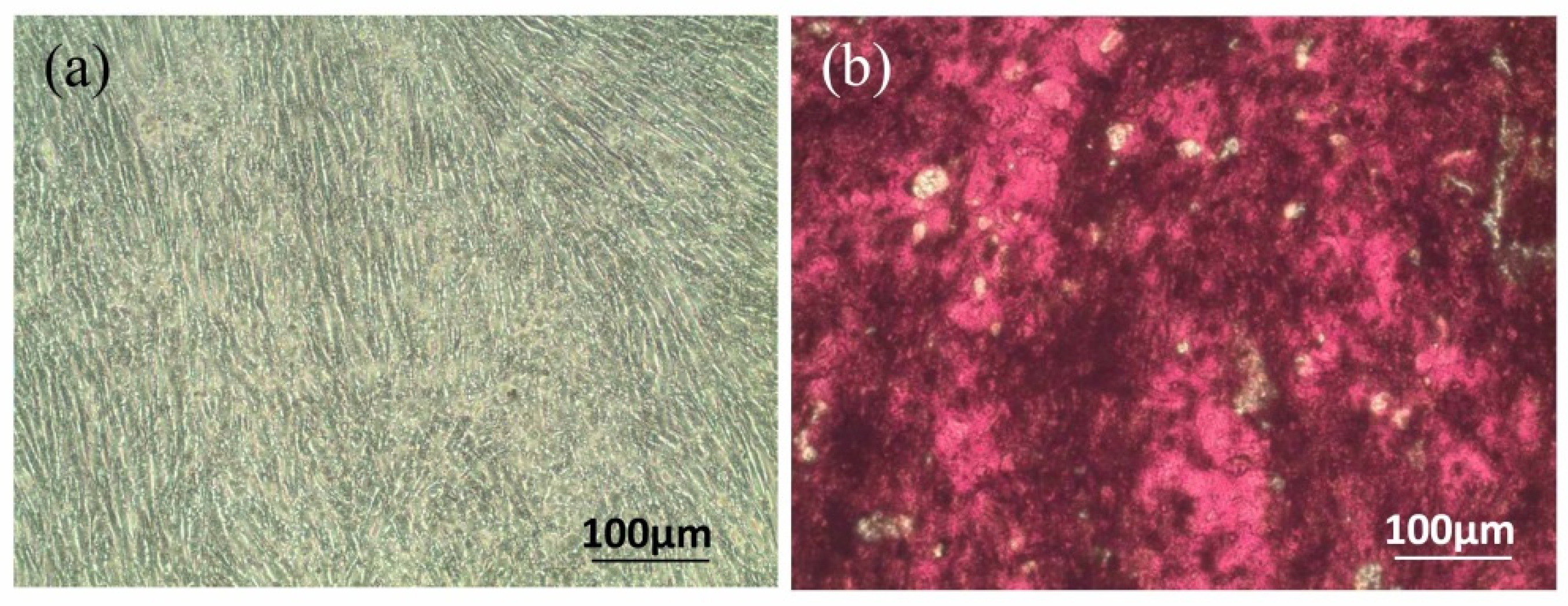 Polymers 14 03211 g003 Polymers 14 03211 g003