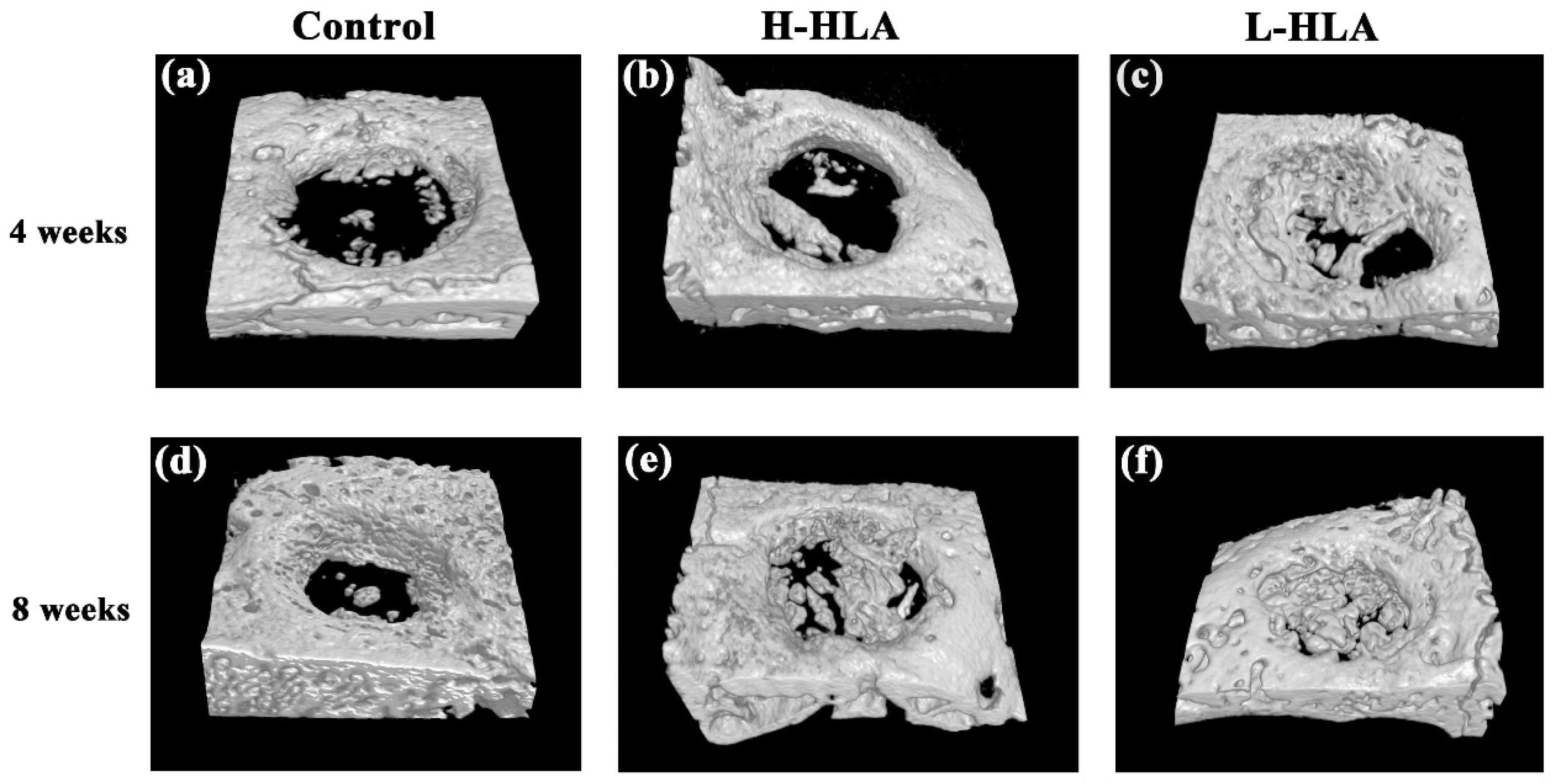 Polymers 14 03211 g006 Polymers 14 03211 g006
