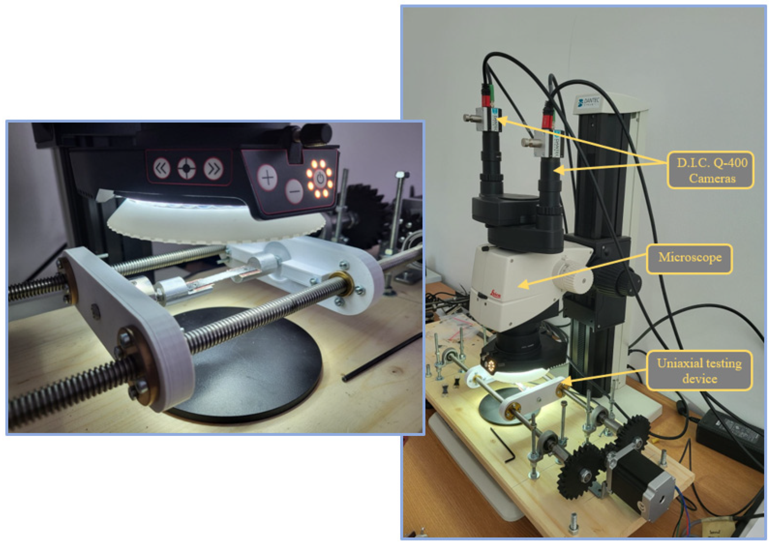 Polymers 14 03213 g003 550