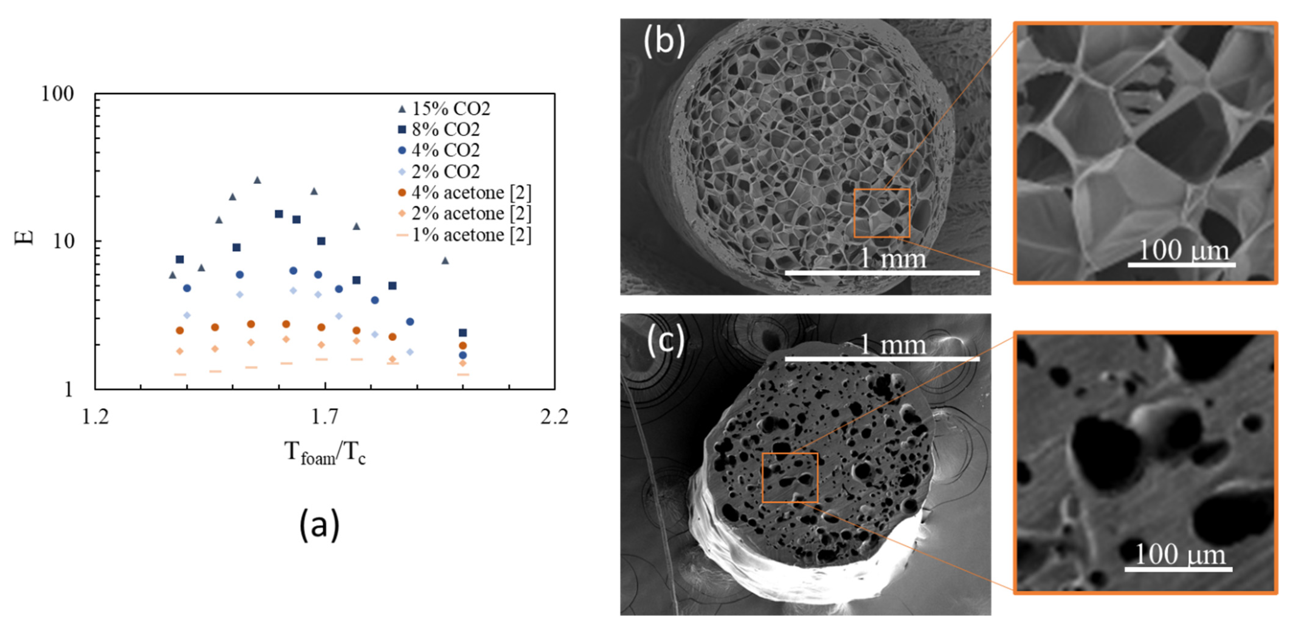 Polymers 14 03214 g003 550