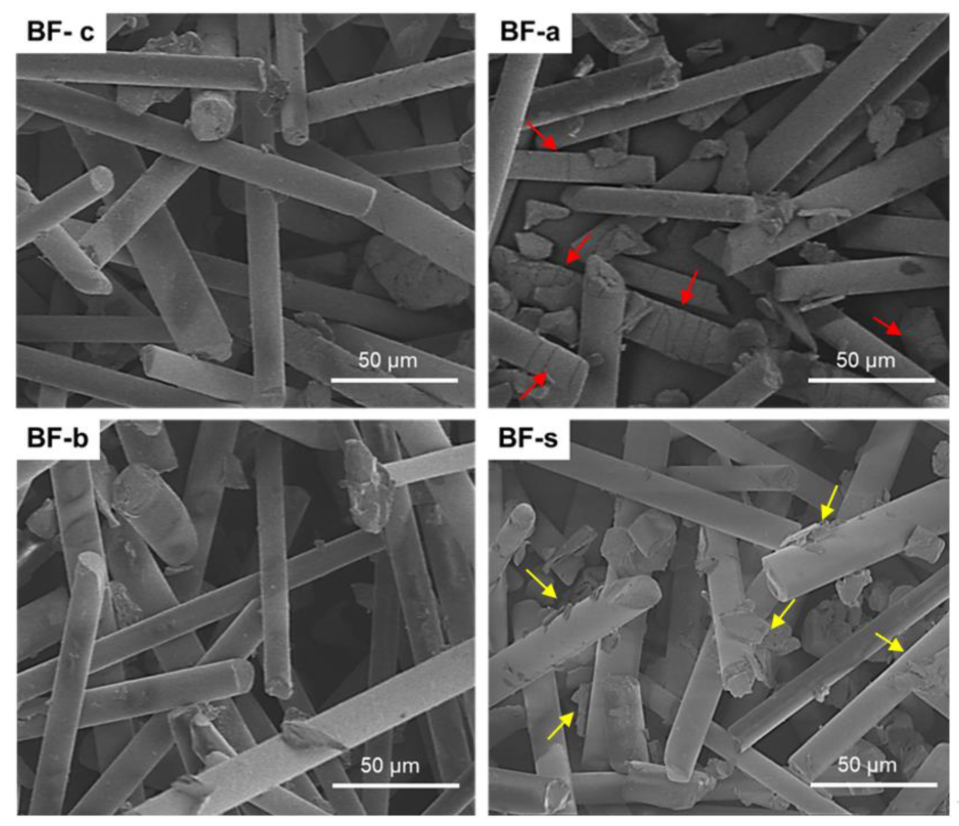 Polymers 14 03216 g005