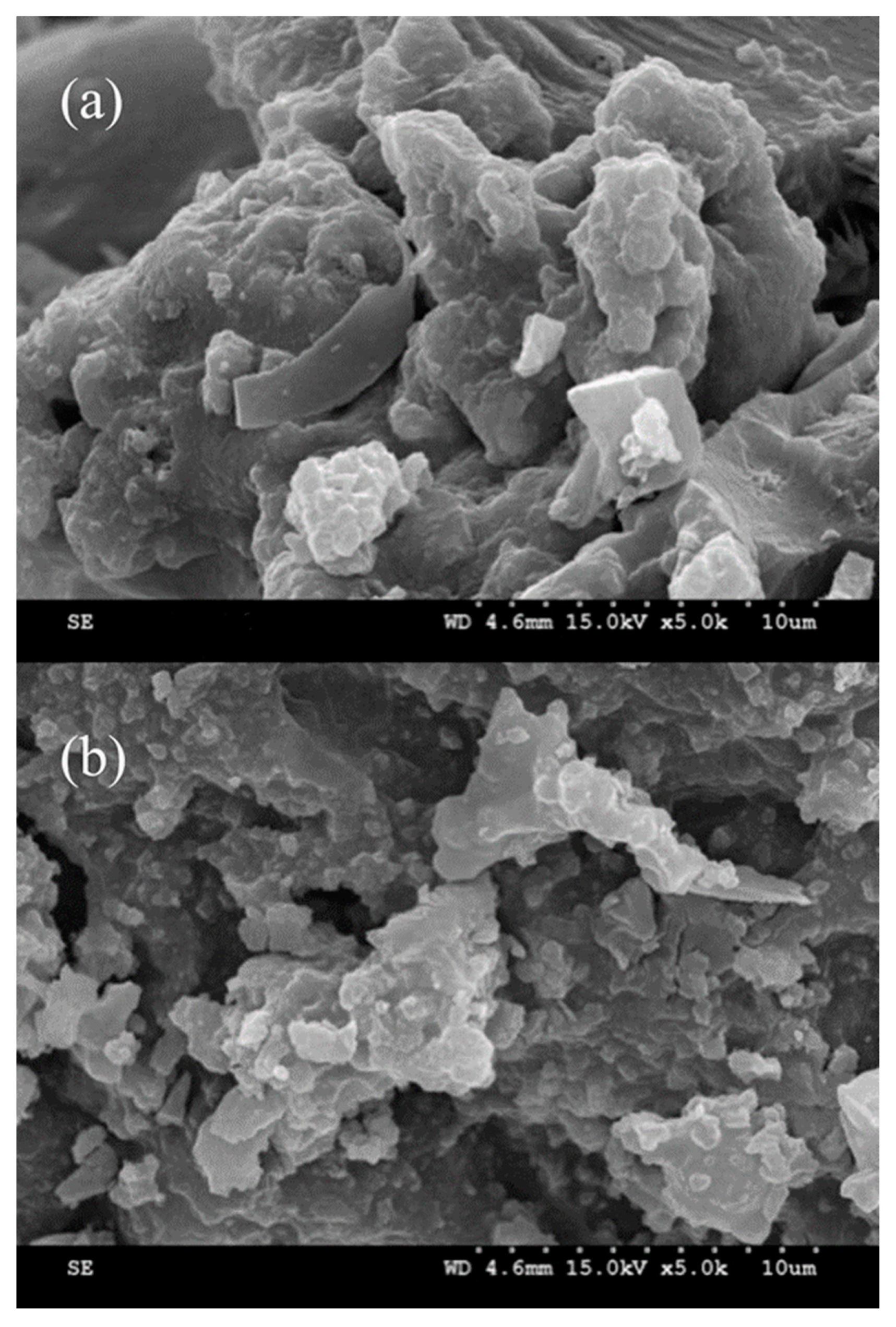 Polymers 14 03221 g003