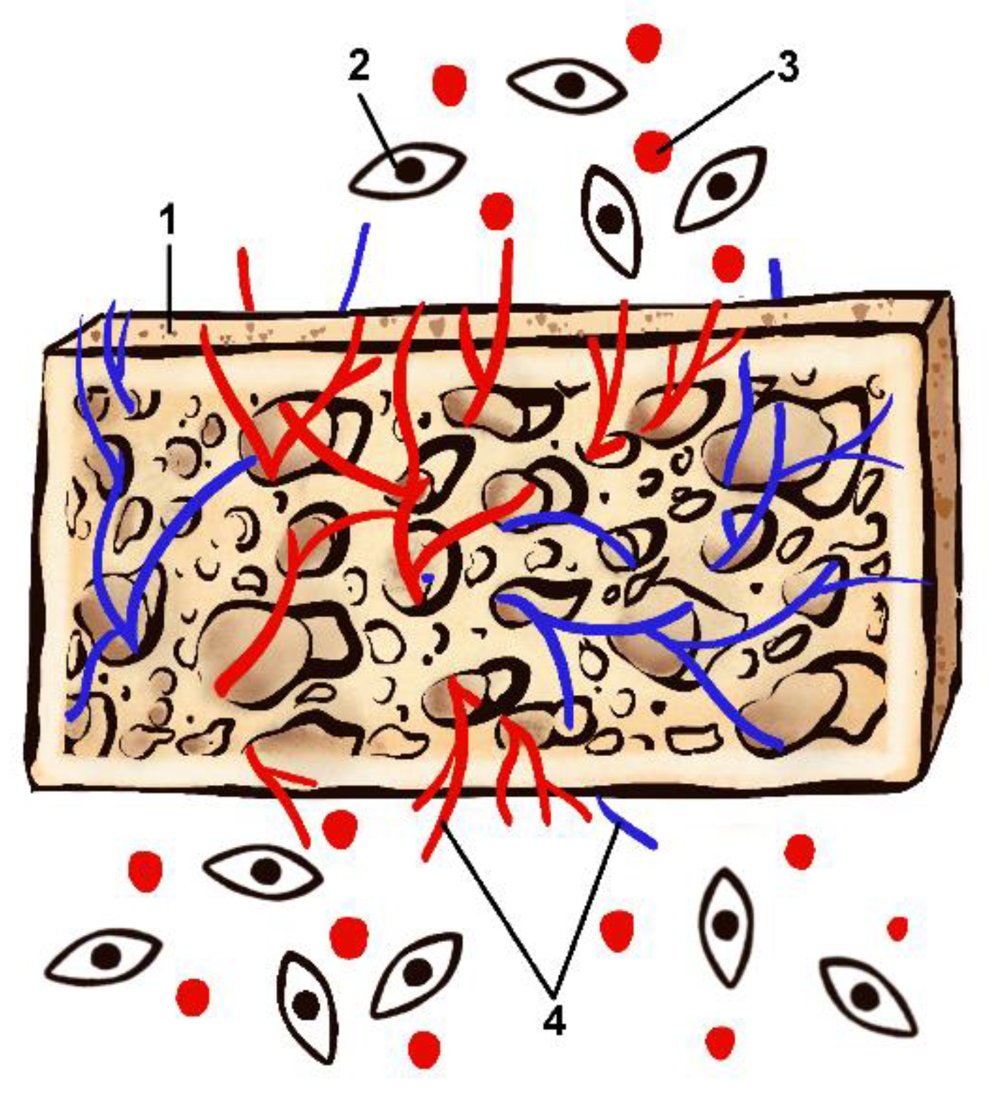 Polymers 14 03222 g001