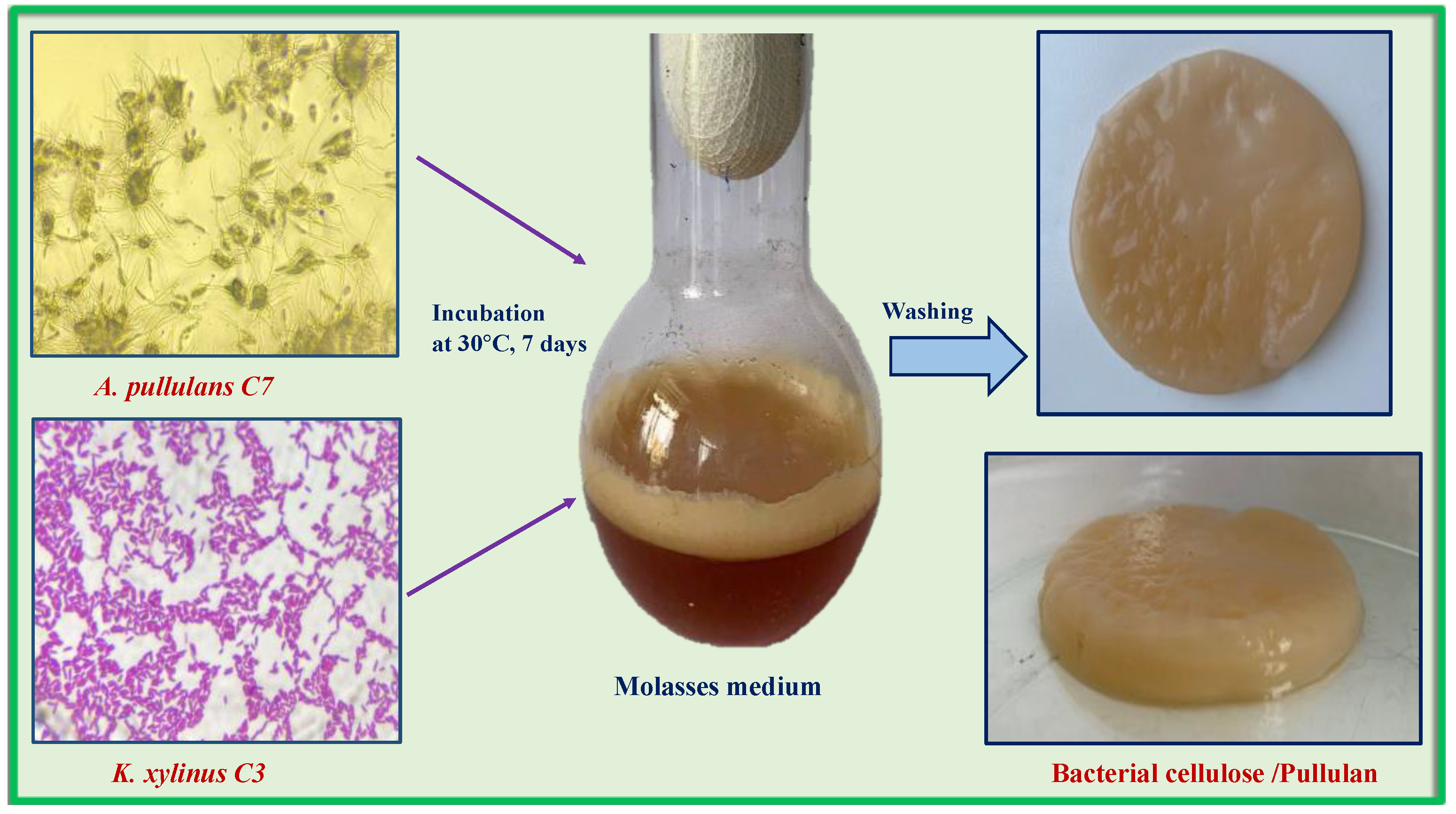 Polymers 14 03224 g003
