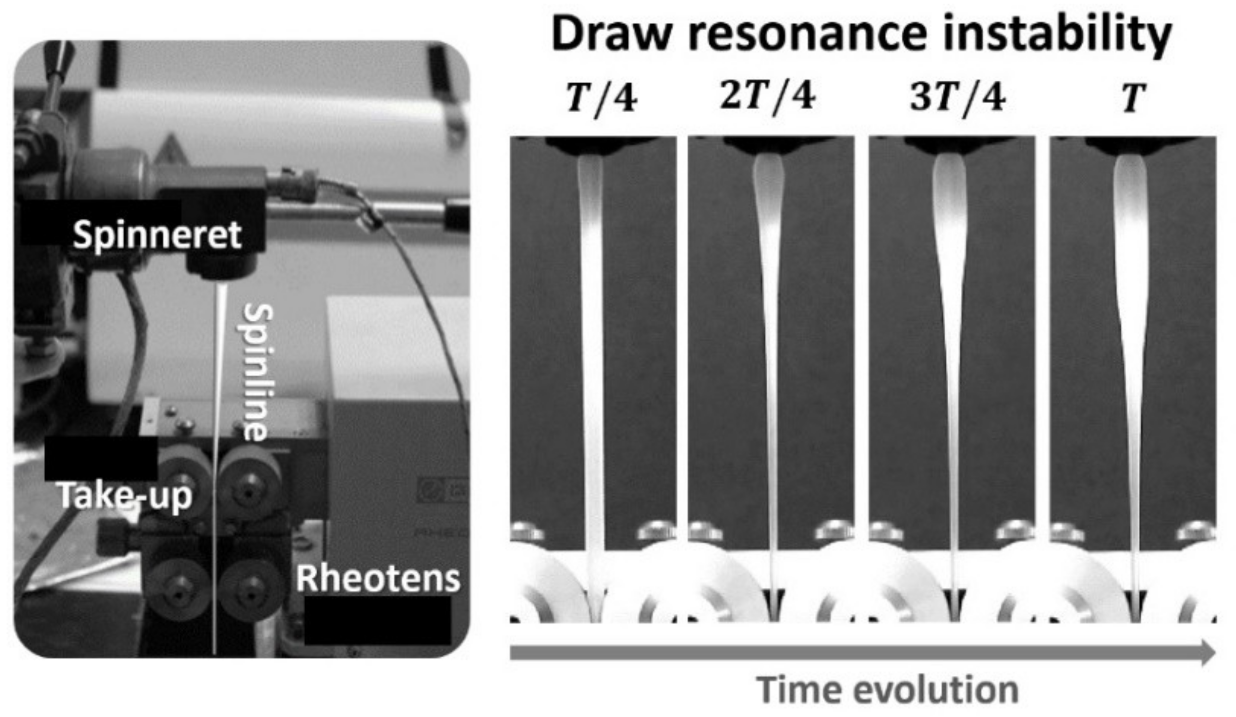 Polymers 14 03226 g002