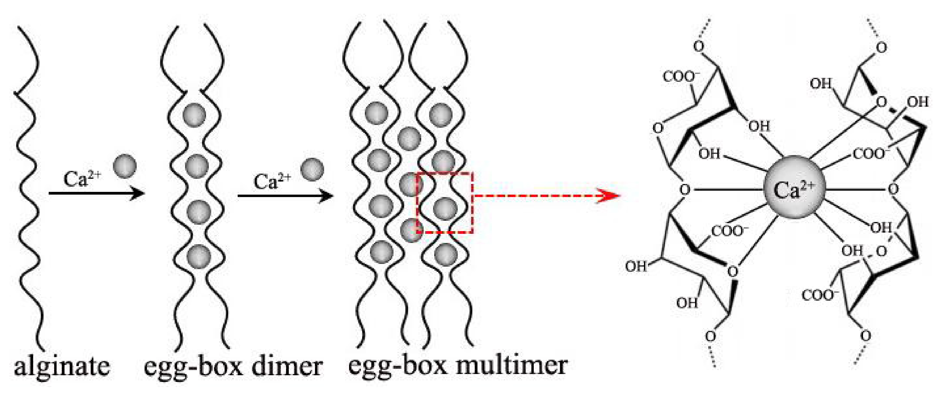 Polymers 14 03227 g002