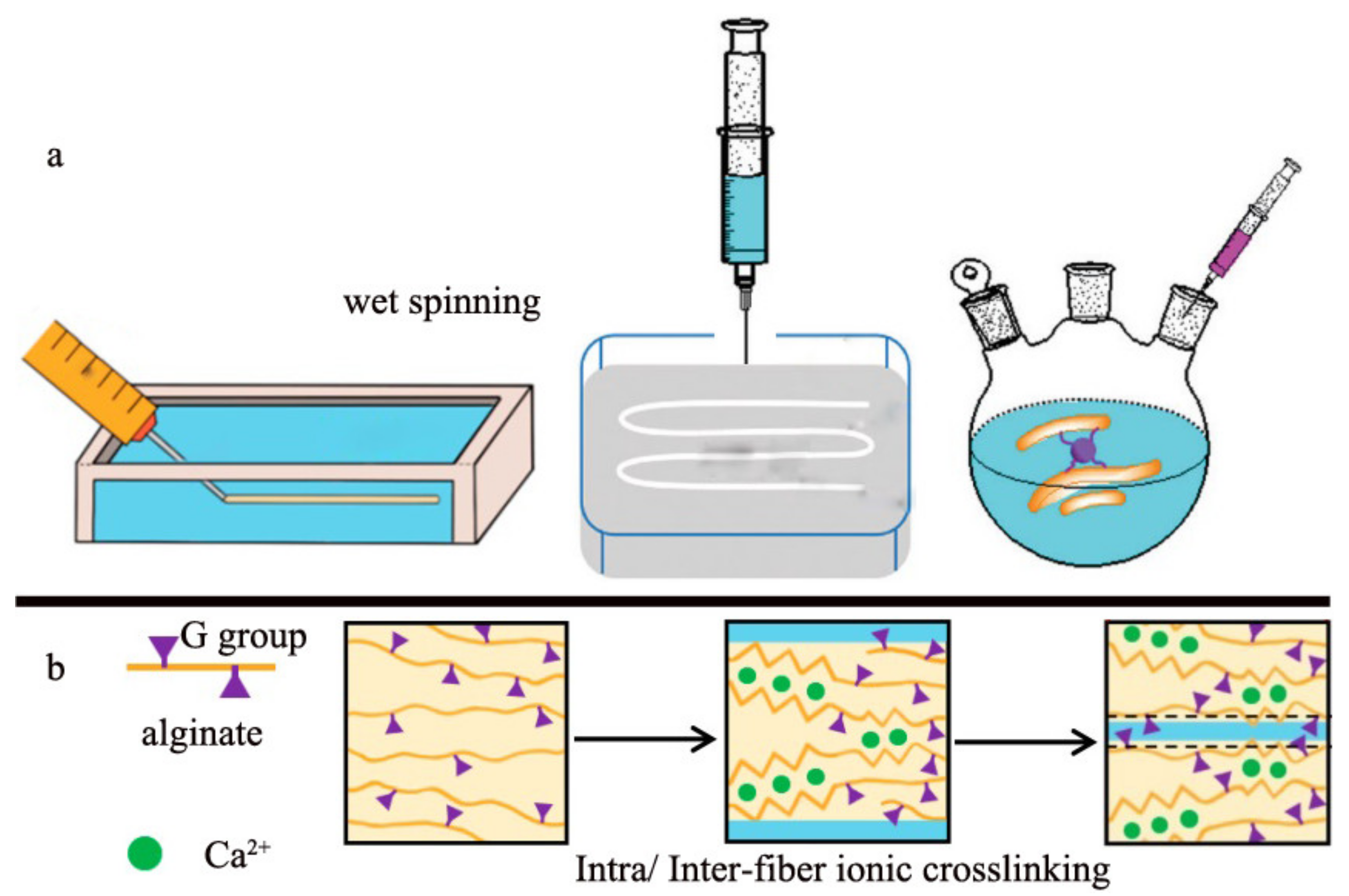 Polymers 14 03227 g006