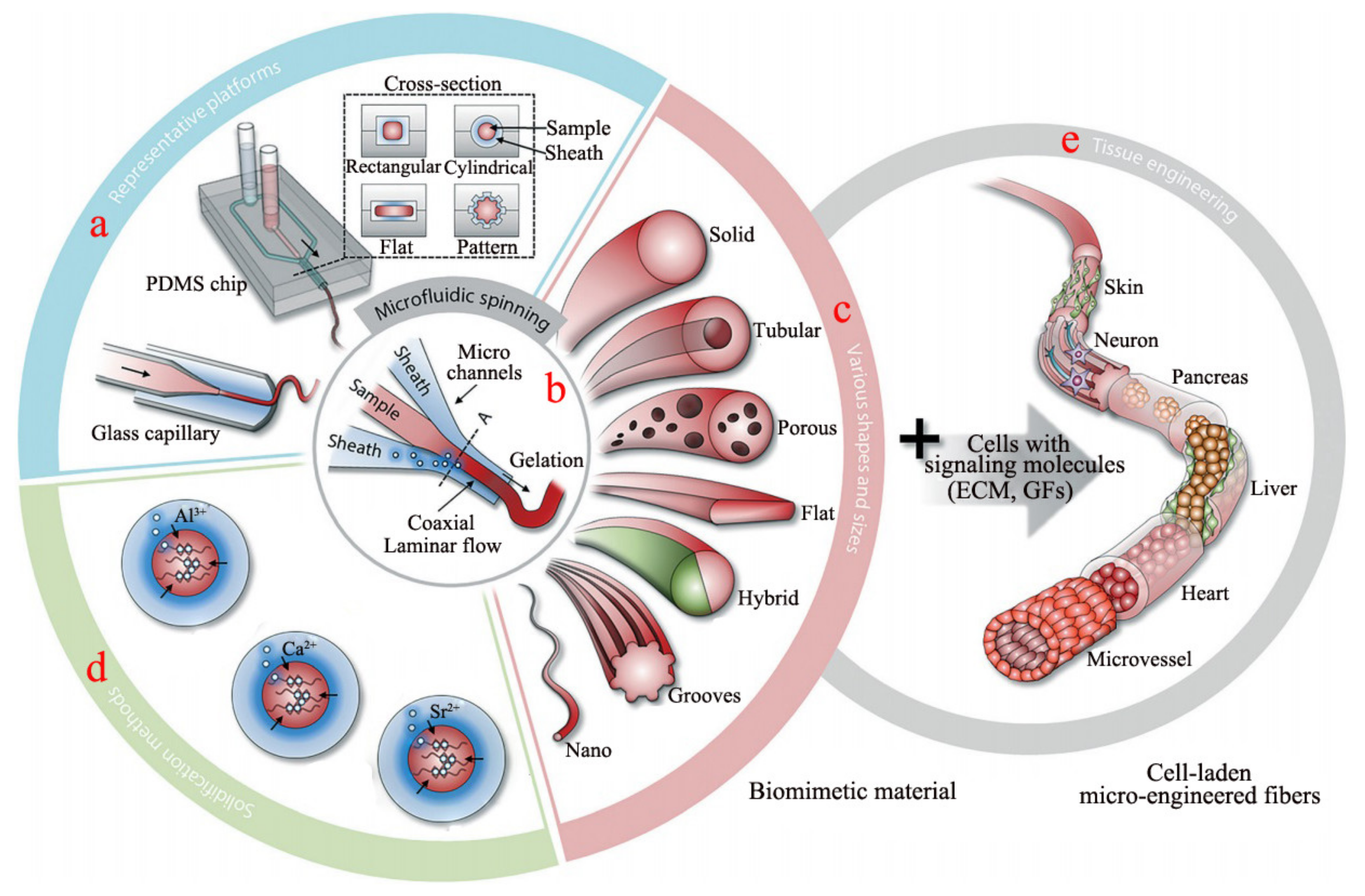 Polymers 14 03227 g007