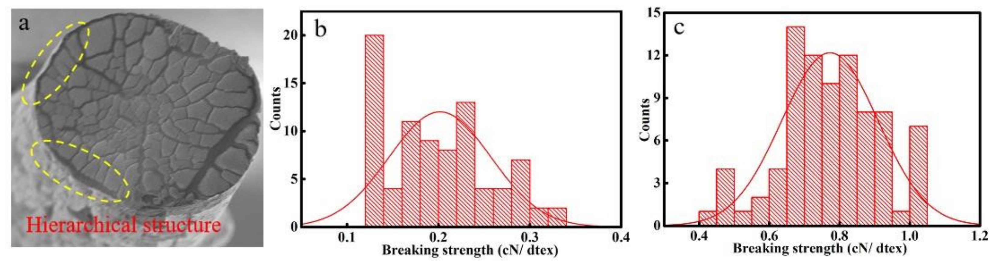 Polymers 14 03227 g009