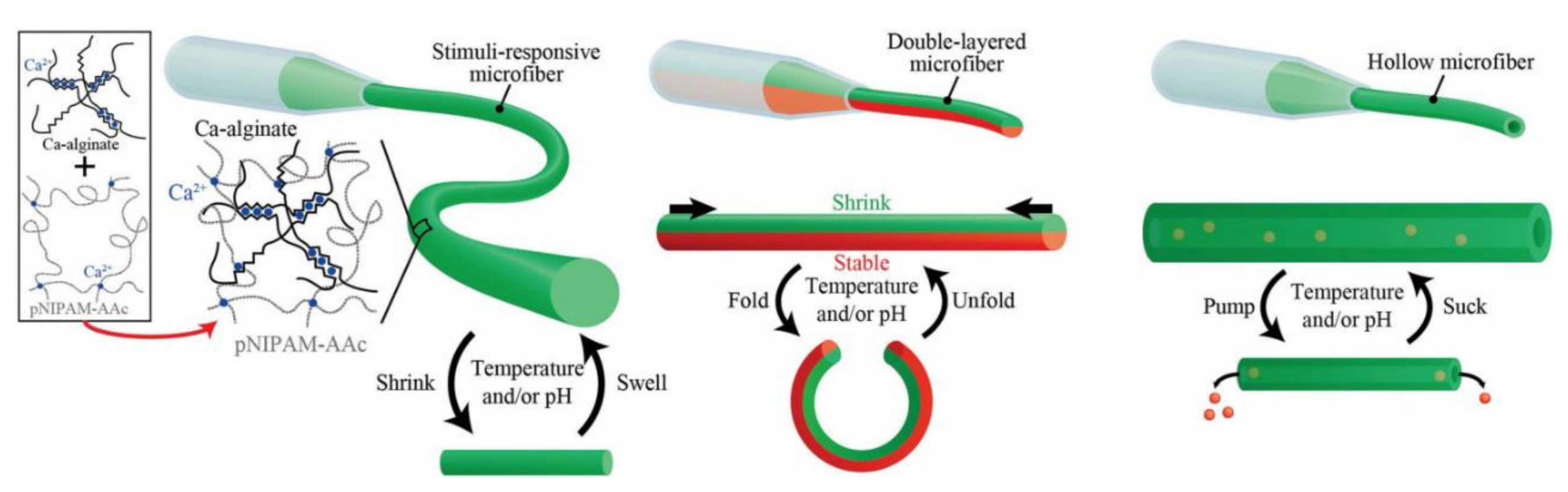 Polymers 14 03227 g014