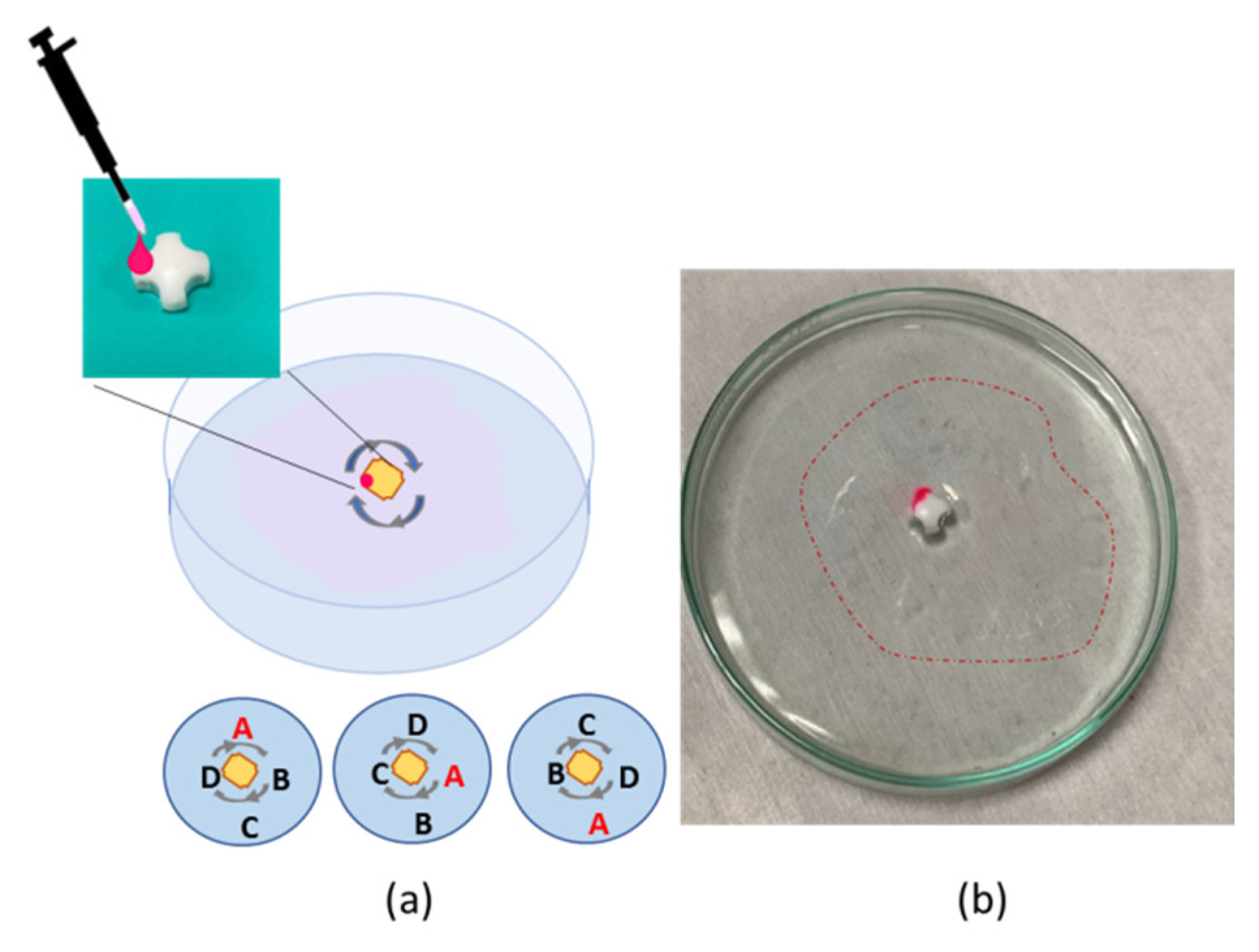 Polymers 14 03228 g004