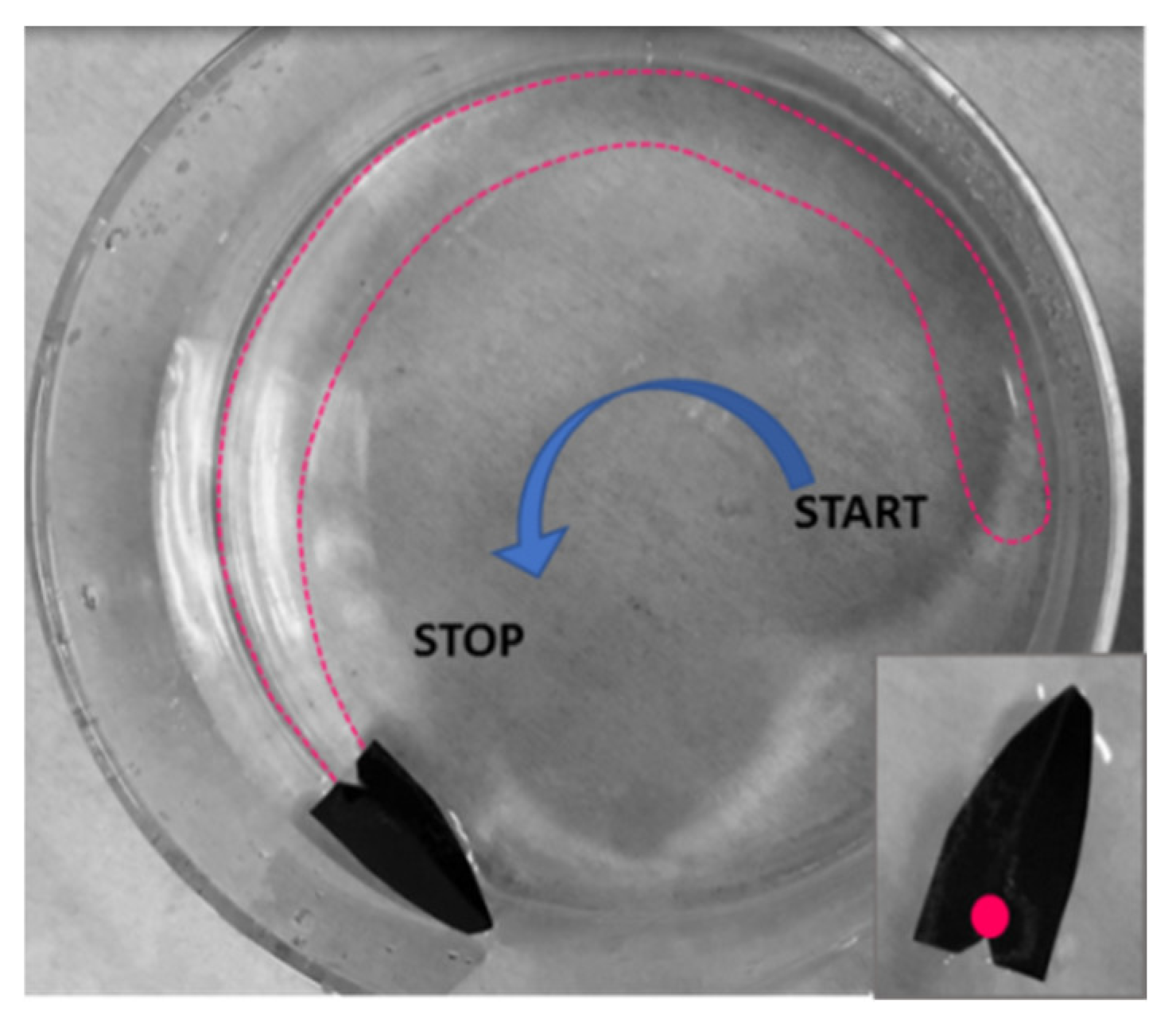 Polymers 14 03228 g006