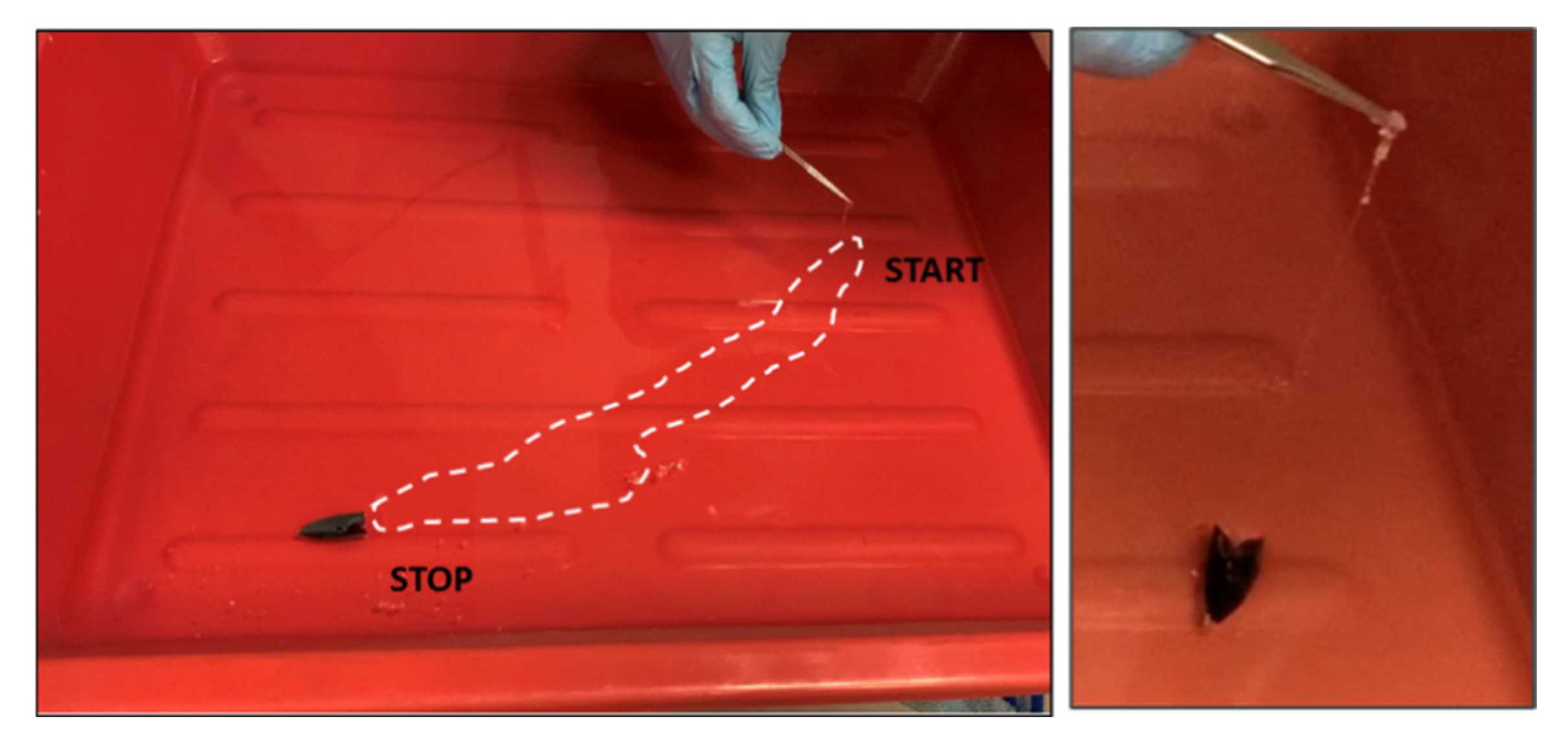 Polymers 14 03228 g007