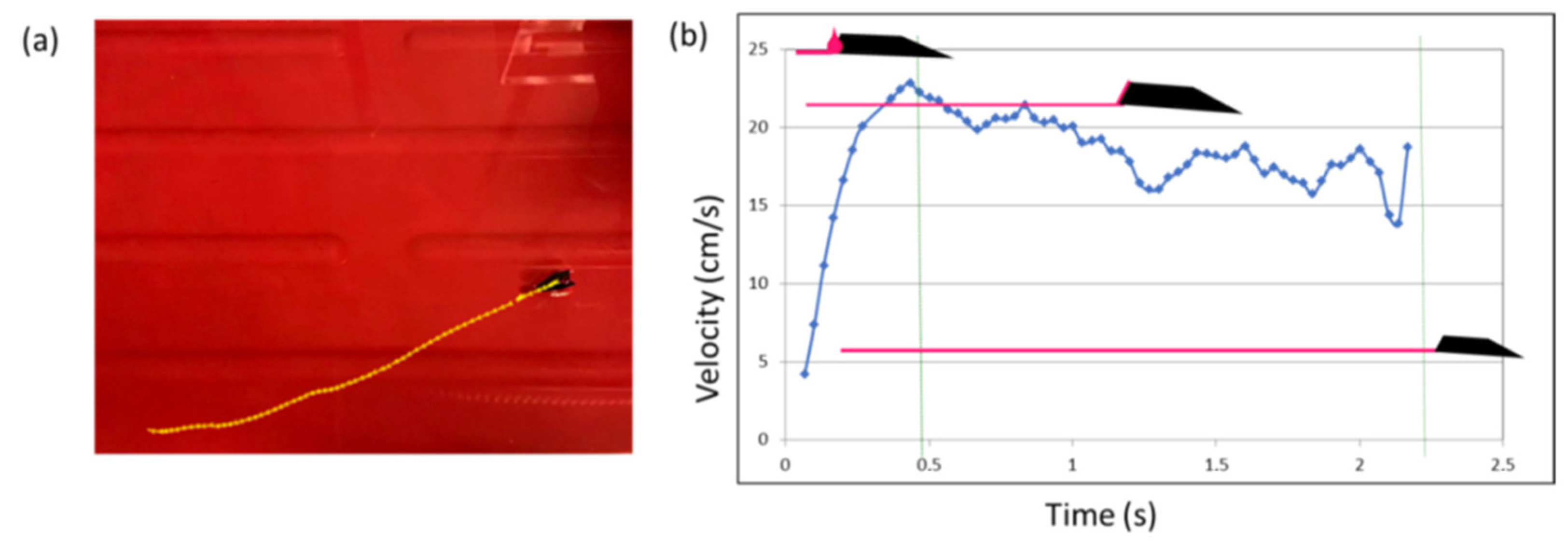Polymers 14 03228 g008