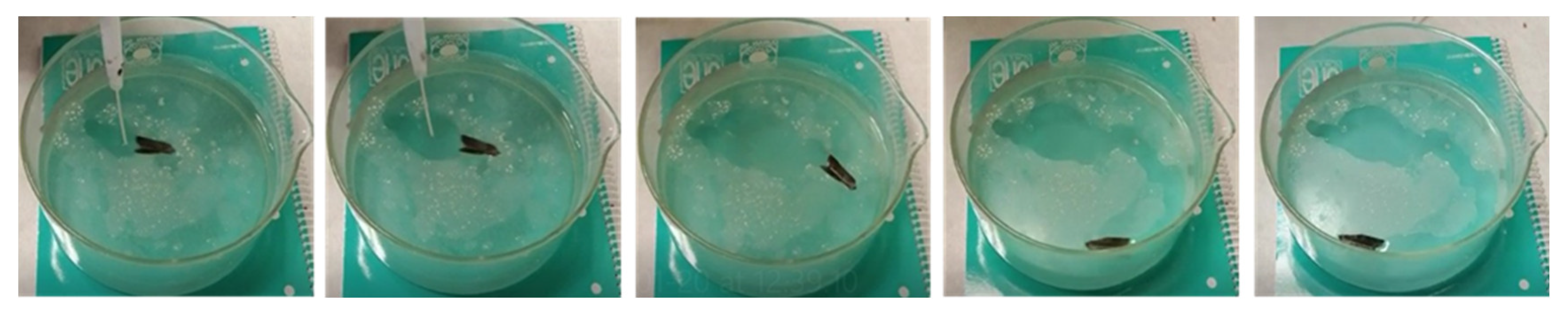 Polymers 14 03228 g009