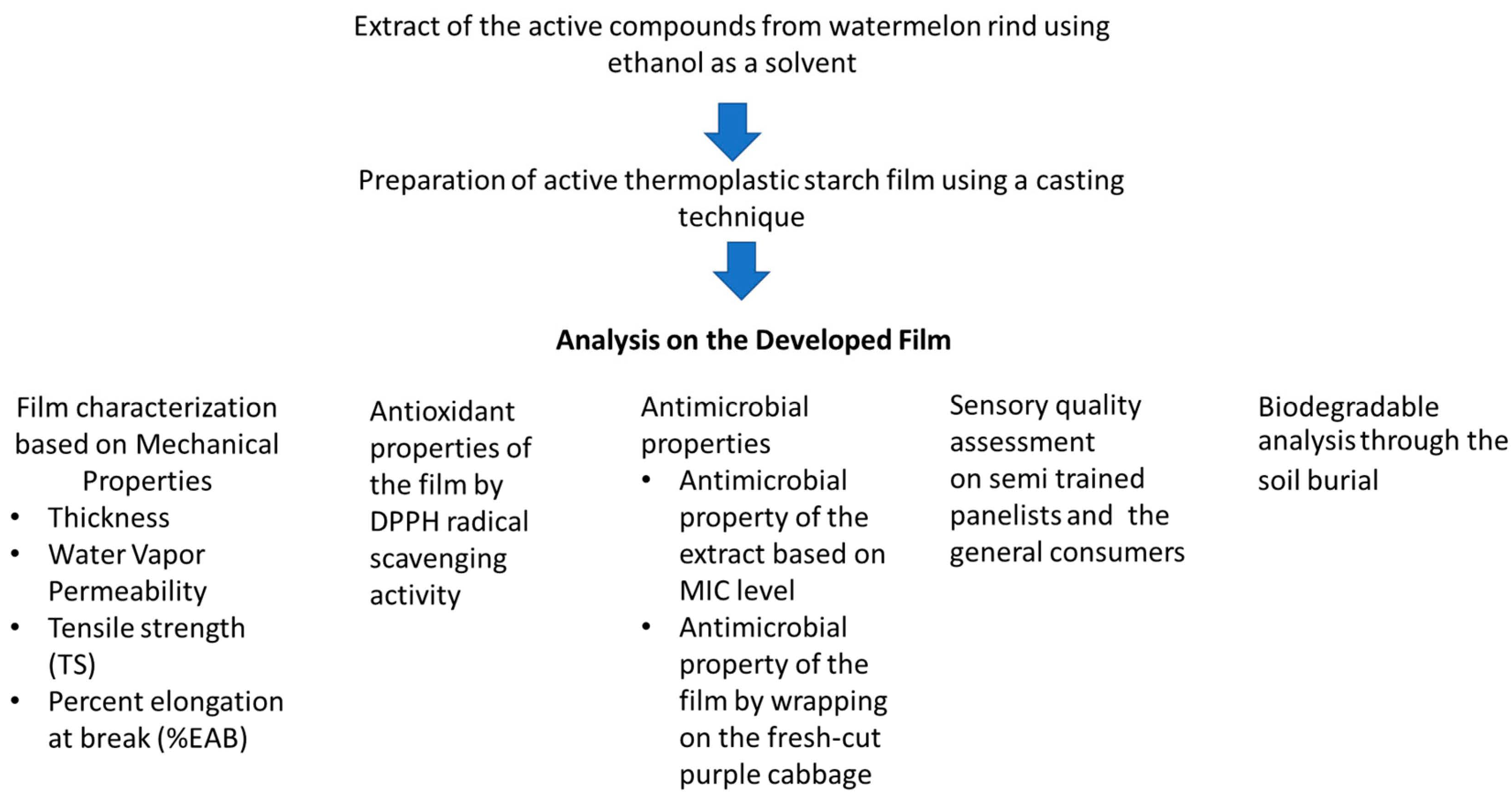 Polymers 14 03232 g001