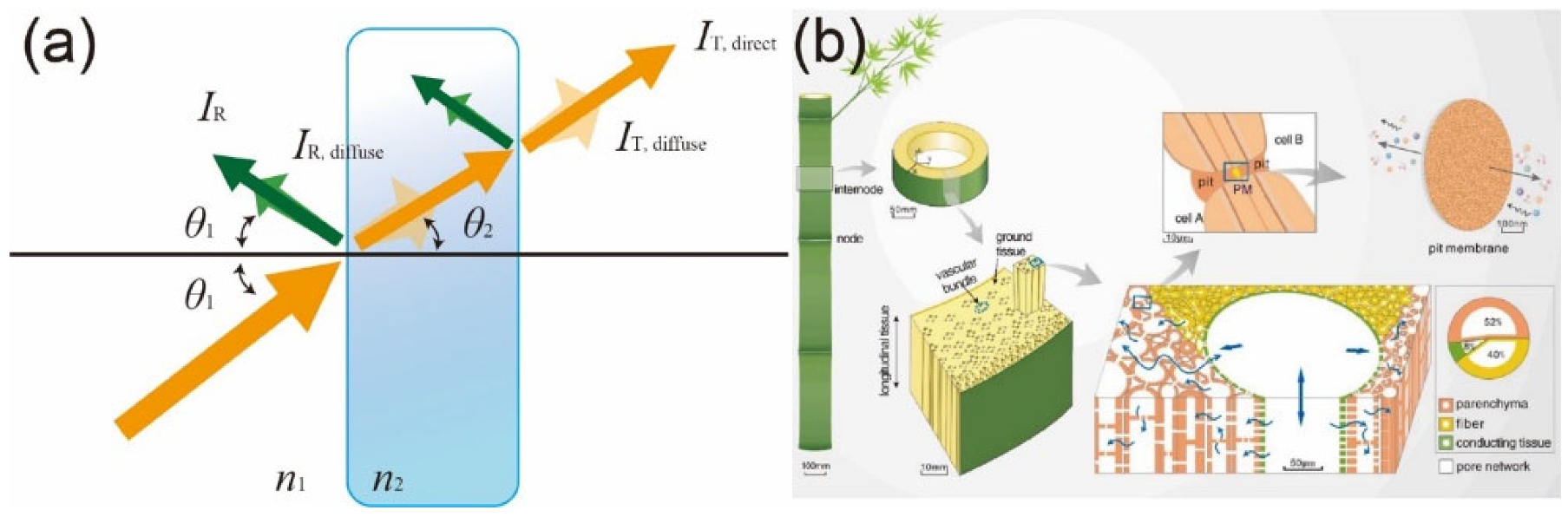 Polymers 14 03234 g001 Polymers 14 03234 g001