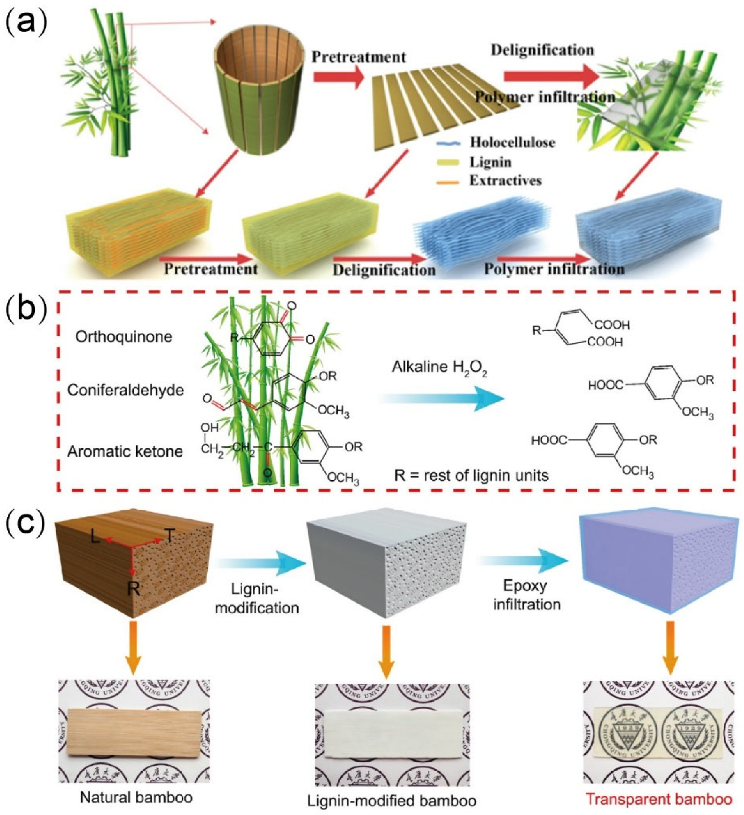 Polymers 14 03234 g002 Polymers 14 03234 g002