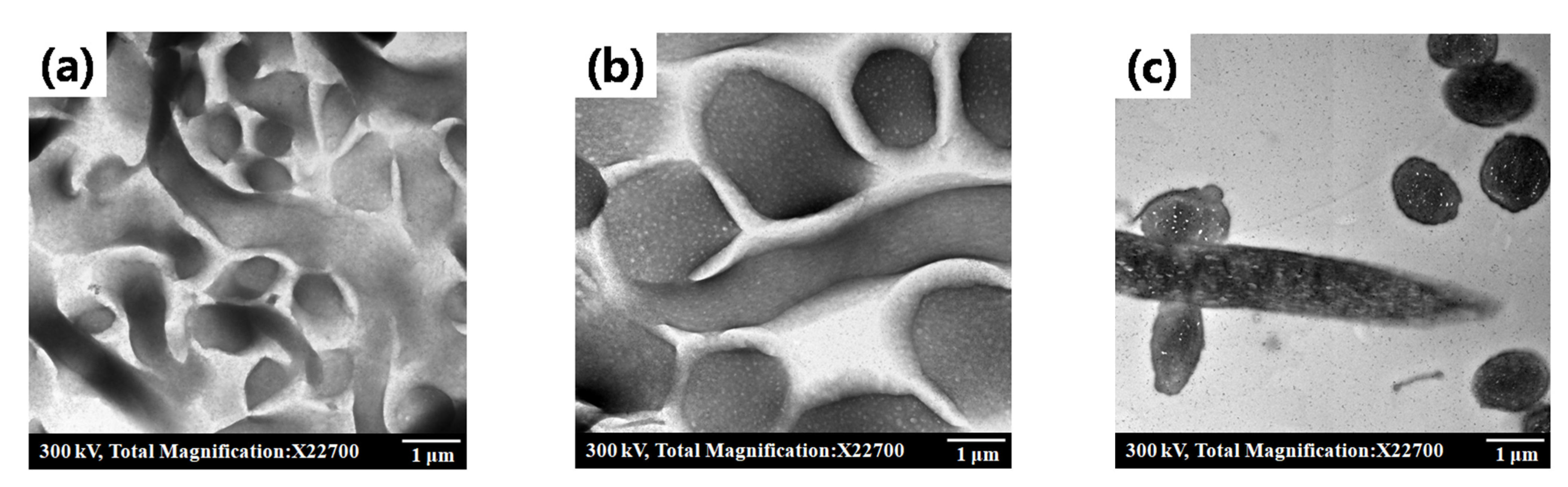 Polymers 14 03236 g003 550