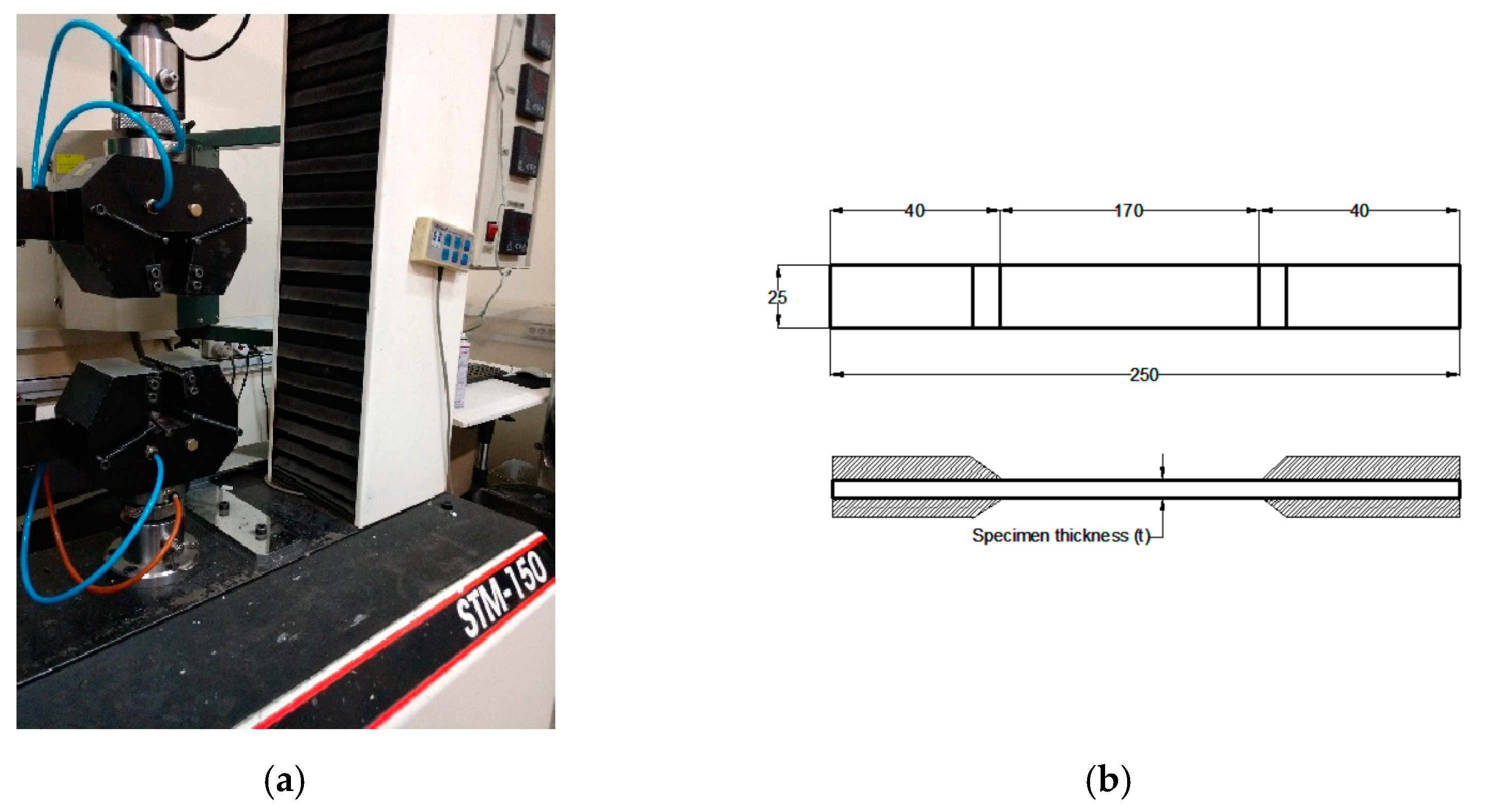 Polymers 14 03246 g001