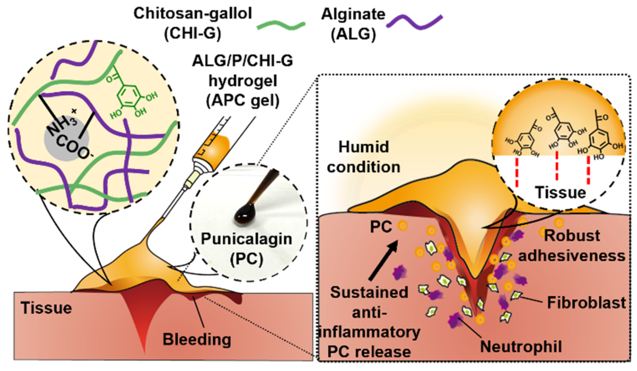 Polymers 14 03248 g001 550
