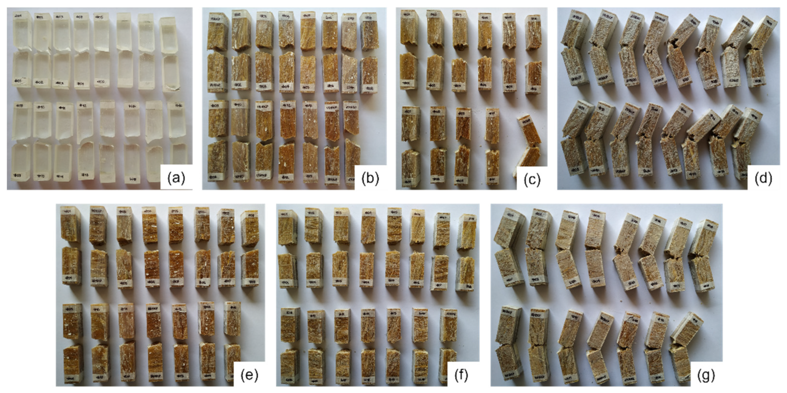 Polymers 14 03249 g003