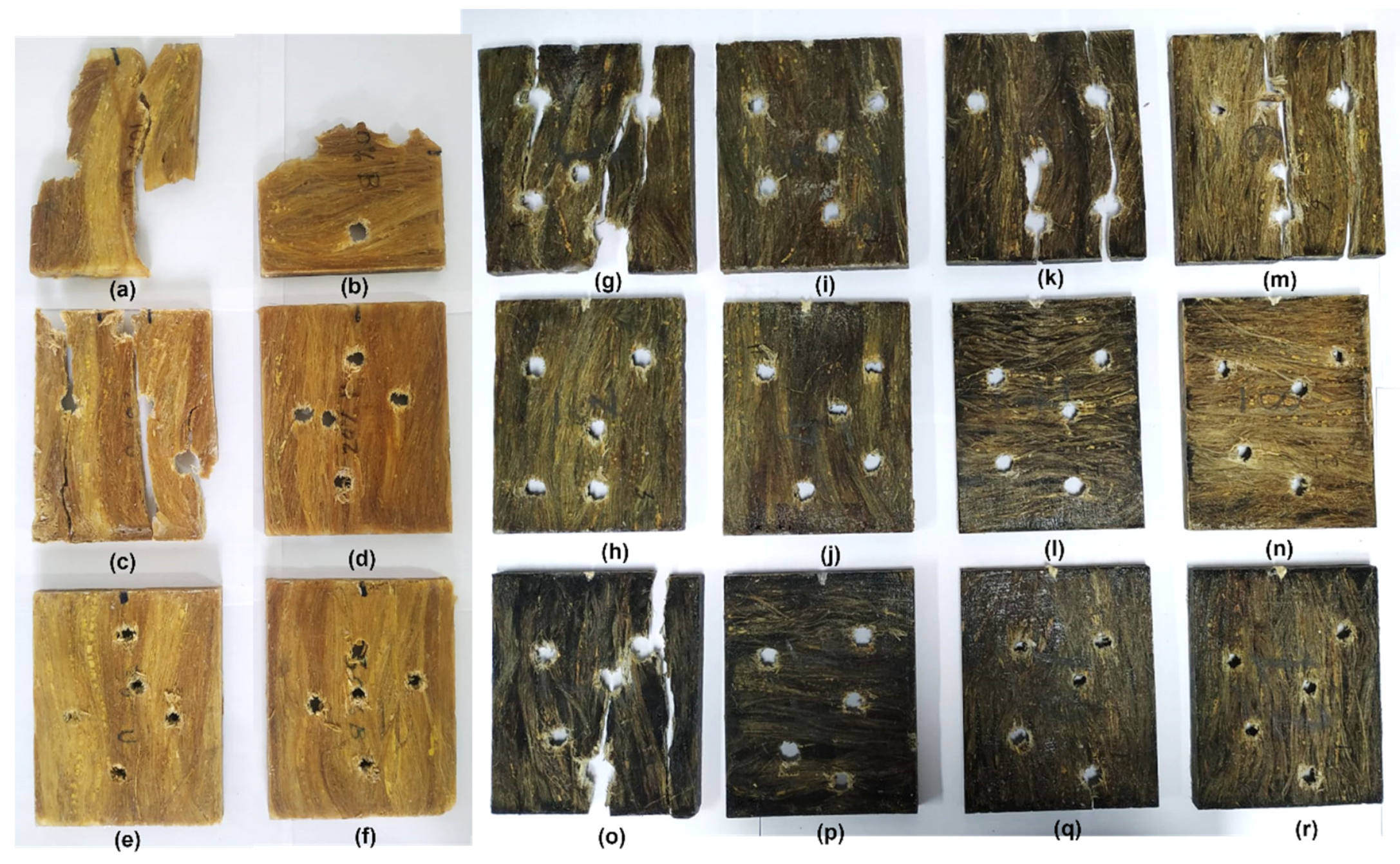 Polymers 14 03249 g005