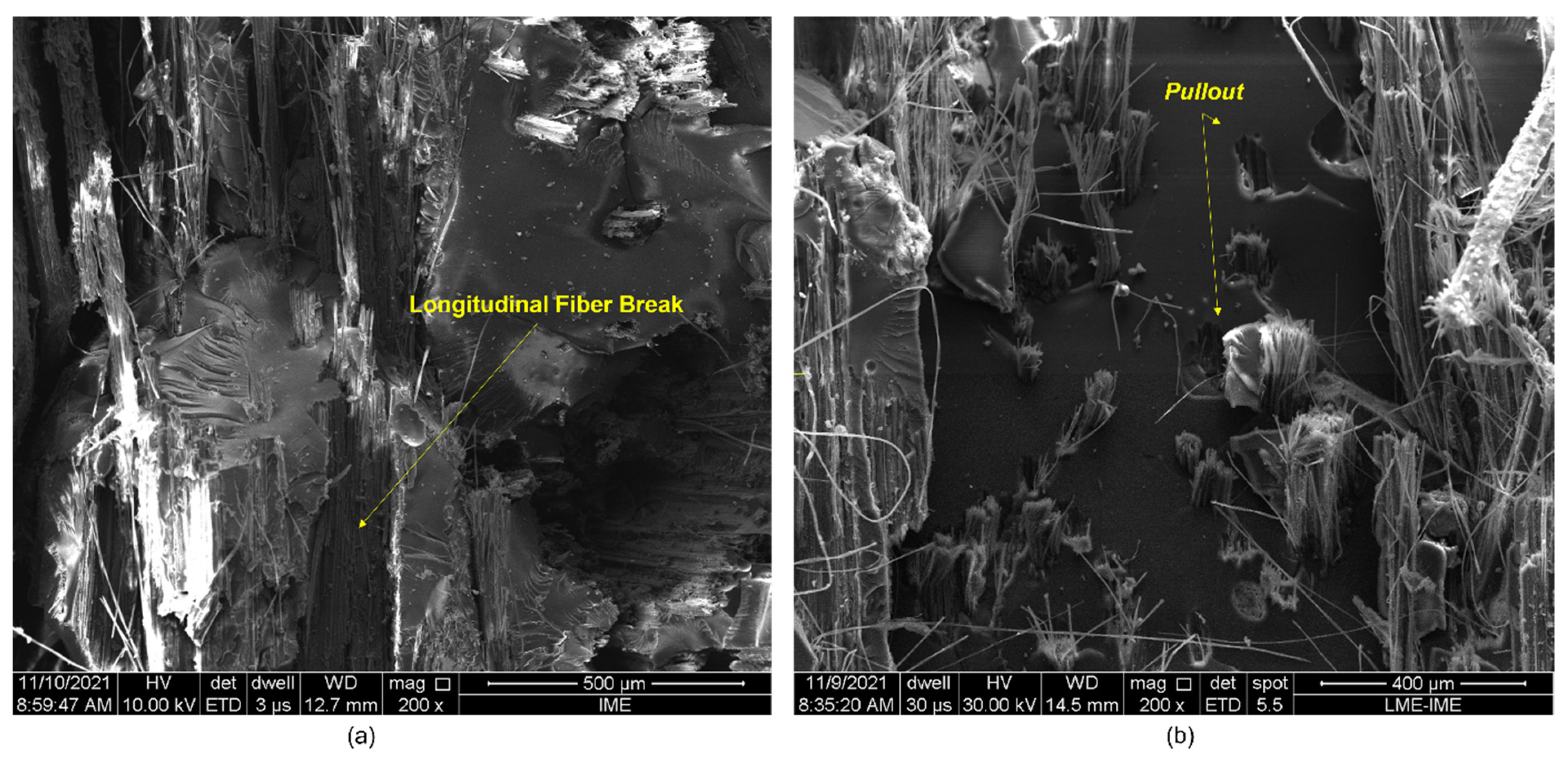 Polymers 14 03249 g007