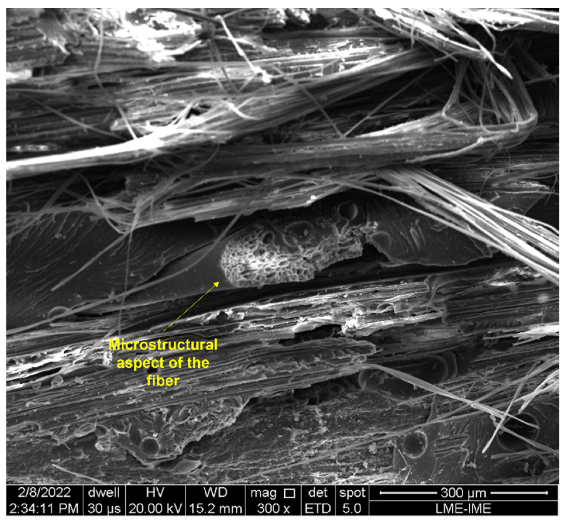 Polymers 14 03249 g009
