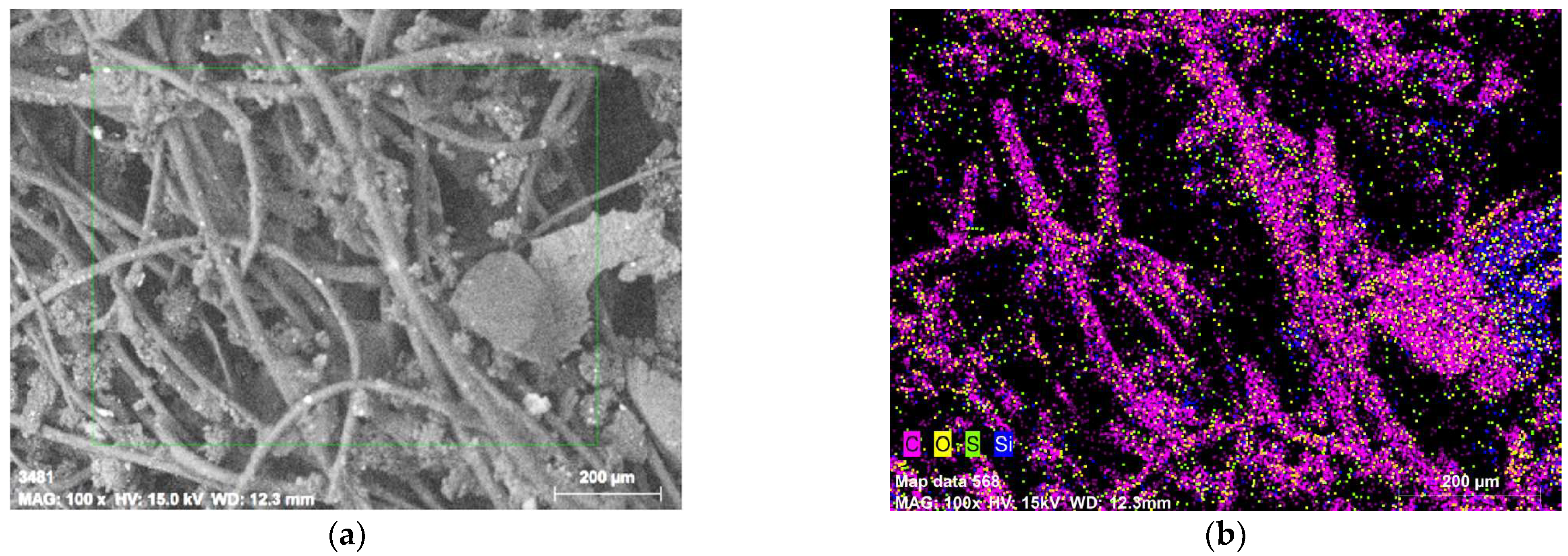Polymers 14 03250 g001 550