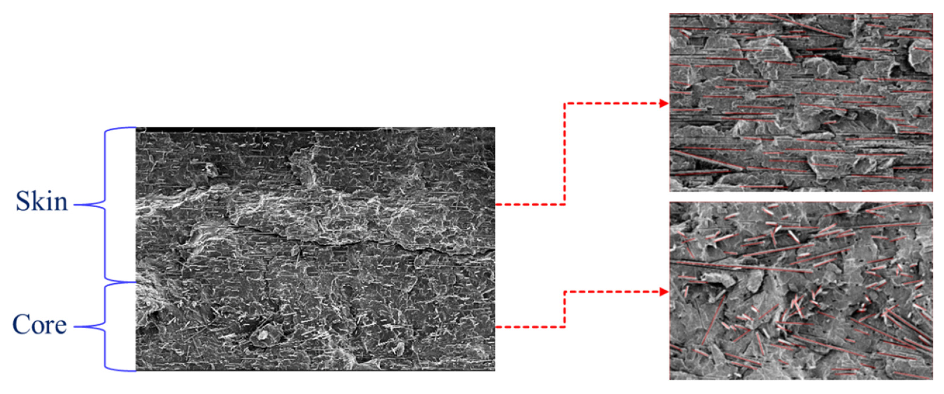 Polymers 14 03251 g003
