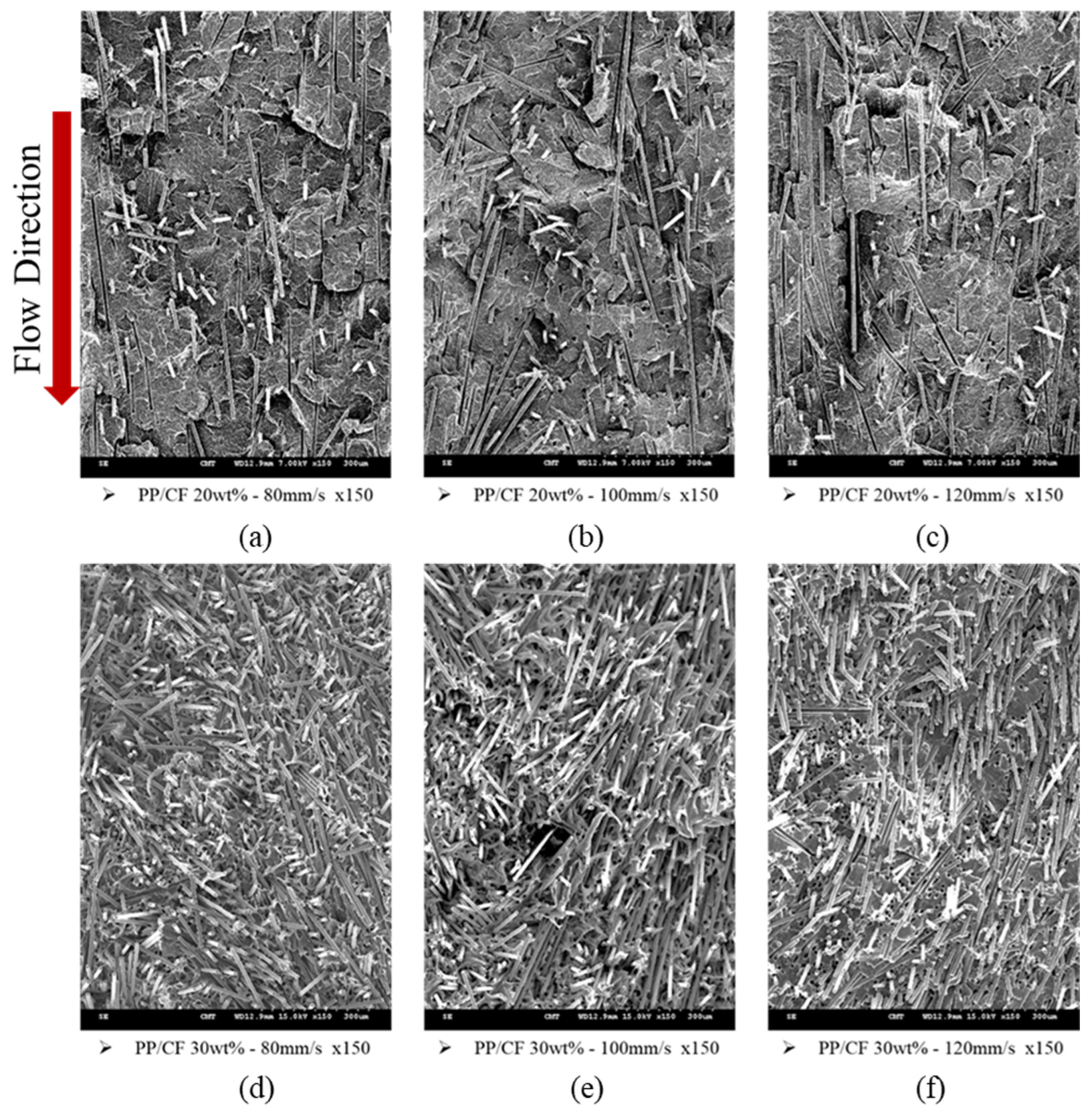 Polymers 14 03251 g004
