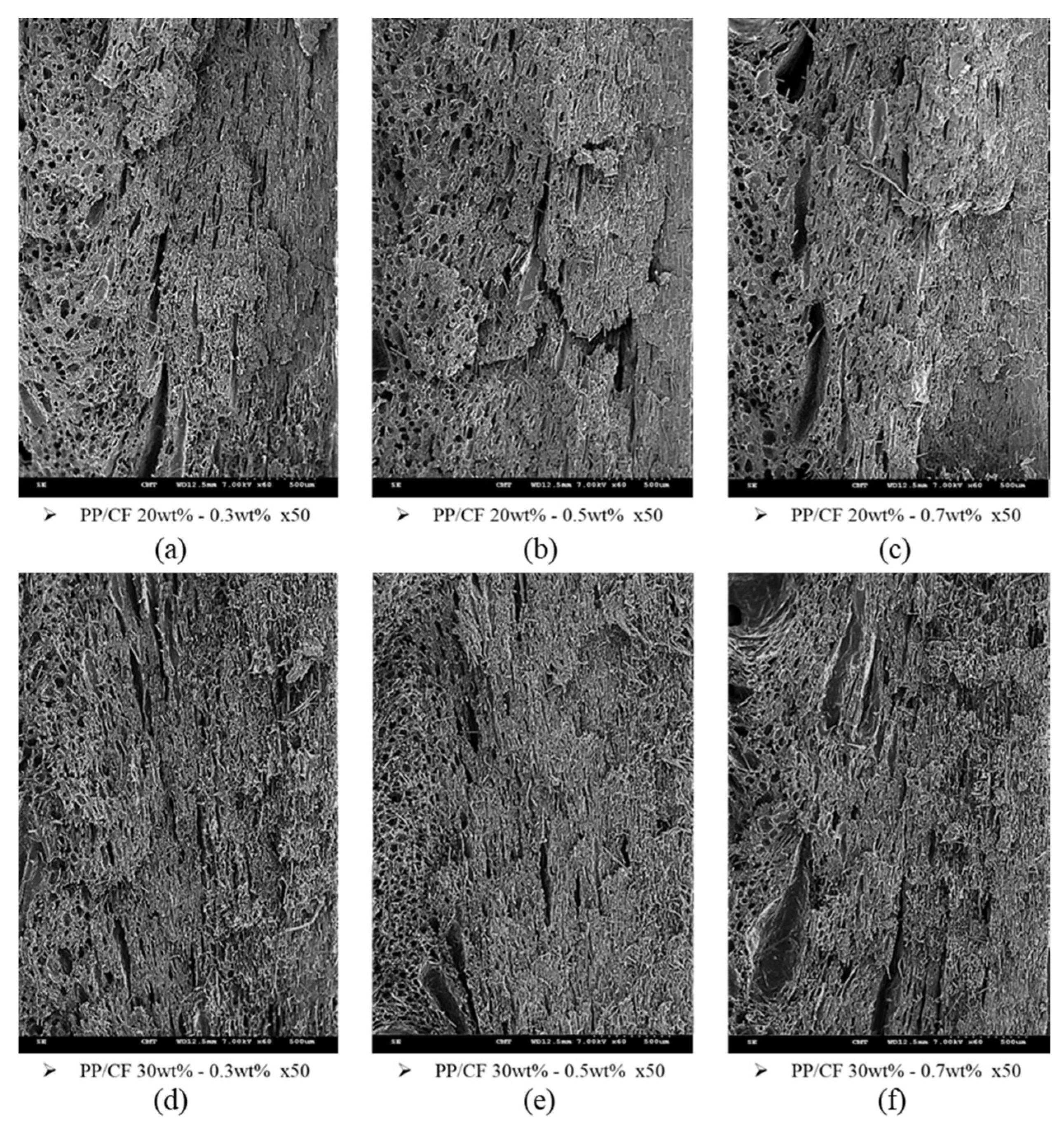Polymers 14 03251 g008