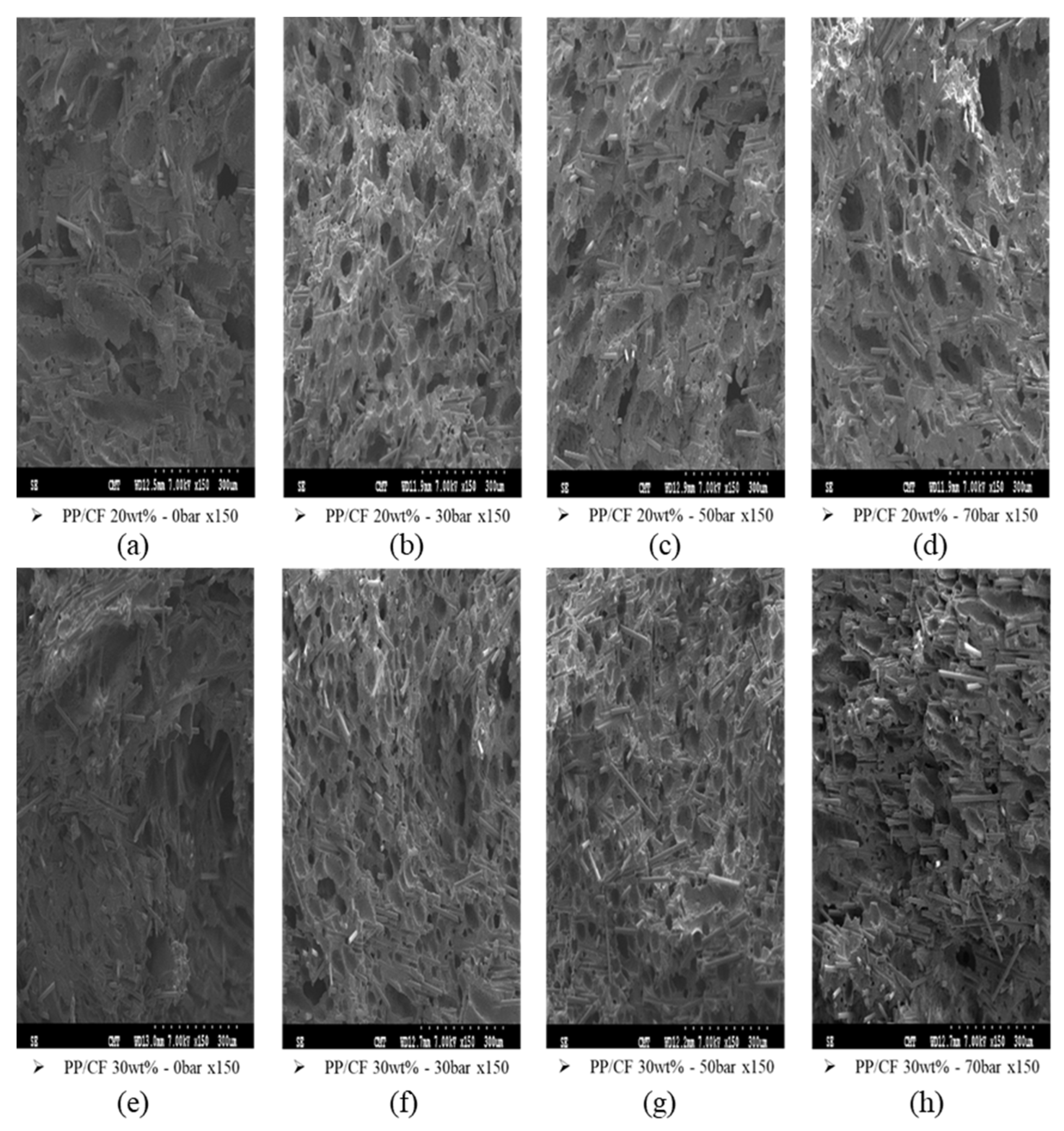 Polymers 14 03251 g009