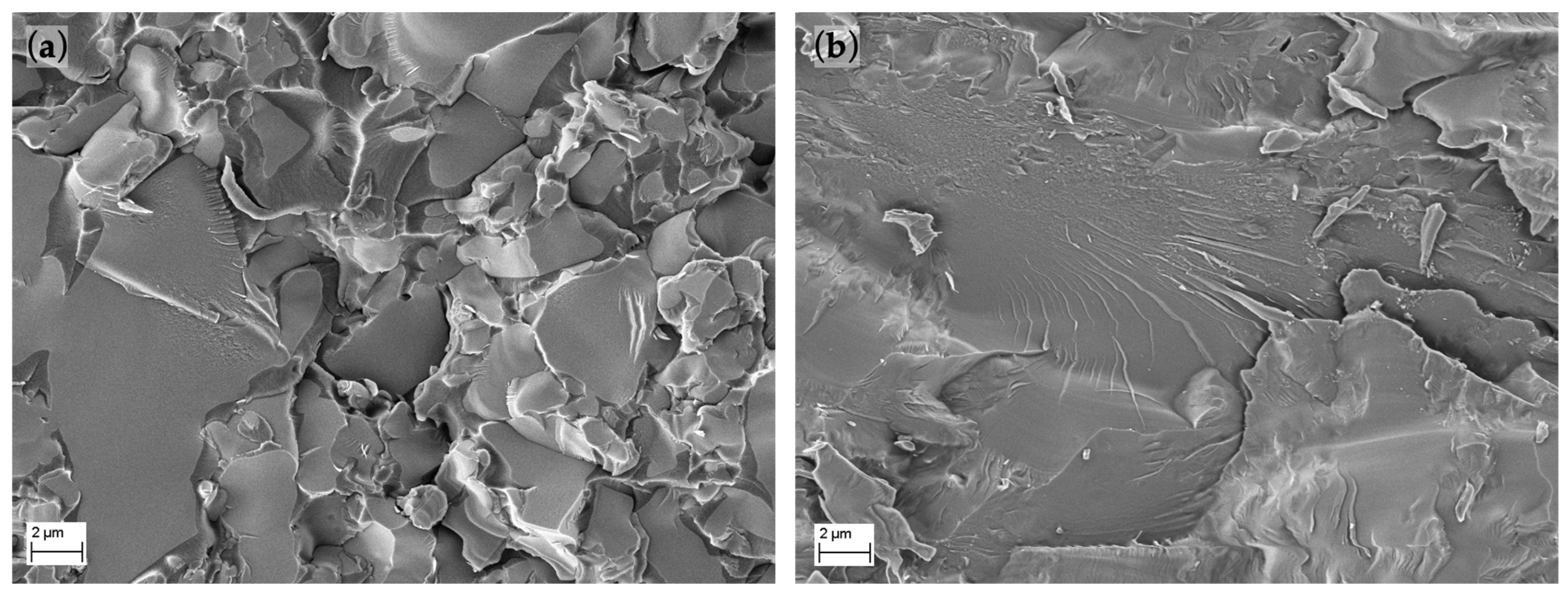 Polymers 14 03252 g010 550