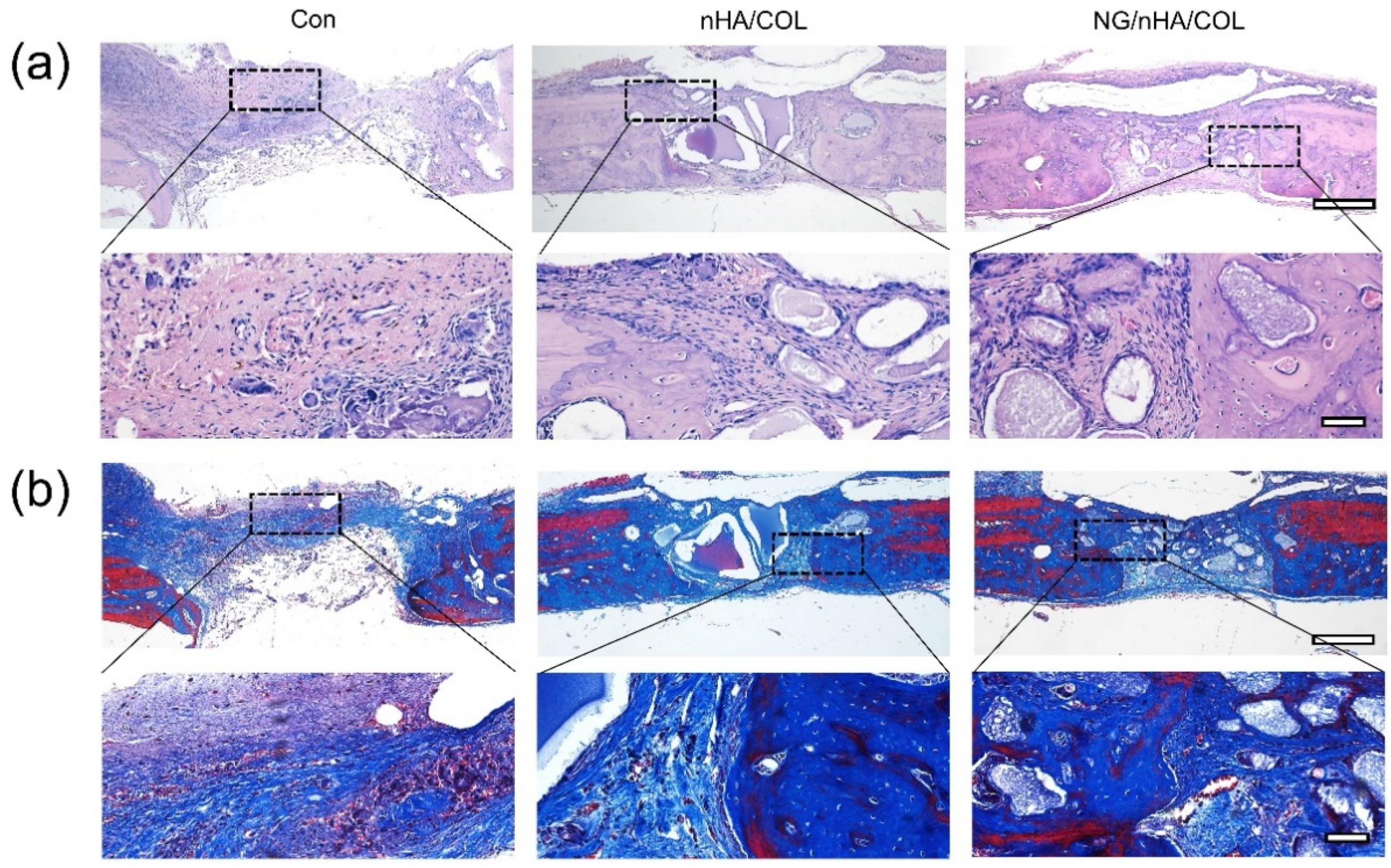 Polymers 14 03260 g007