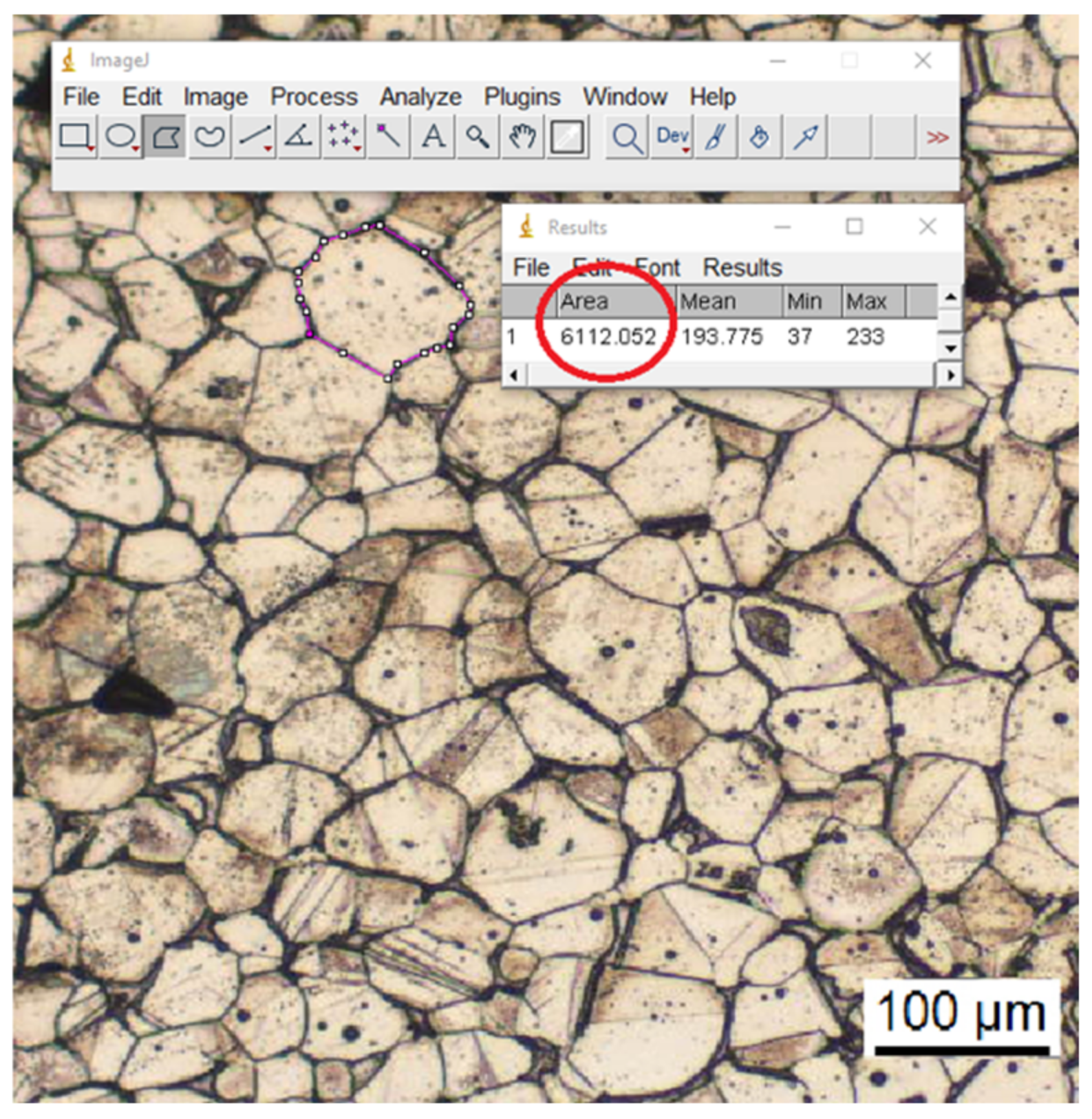 Polymers 14 03264 g002
