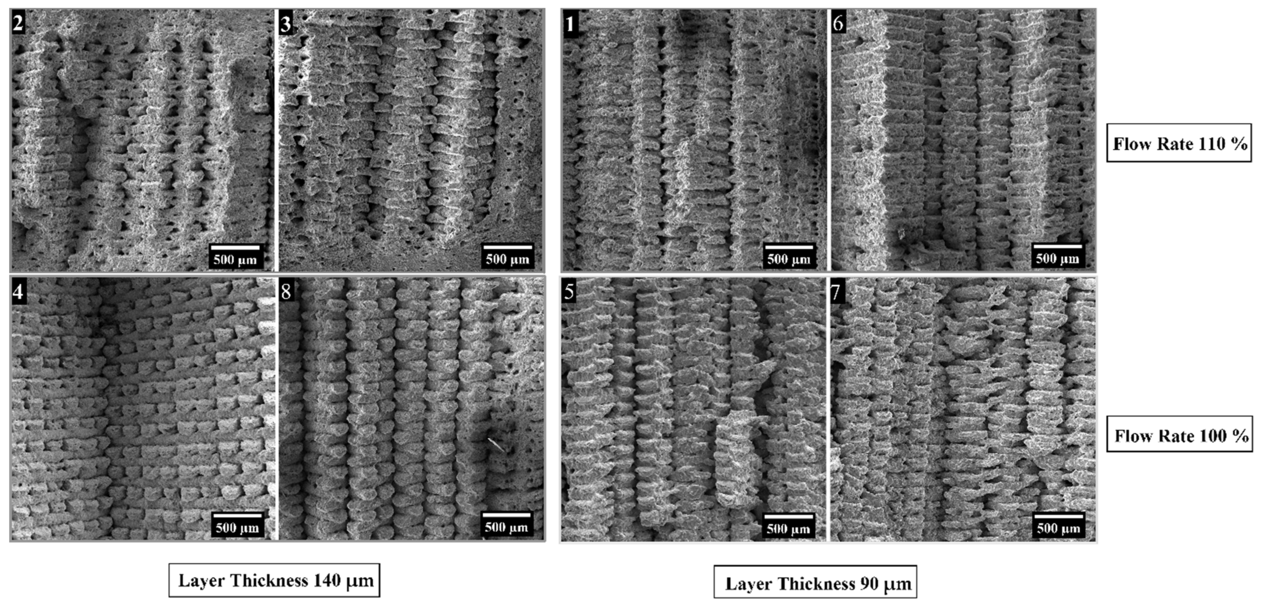 Polymers 14 03264 g008