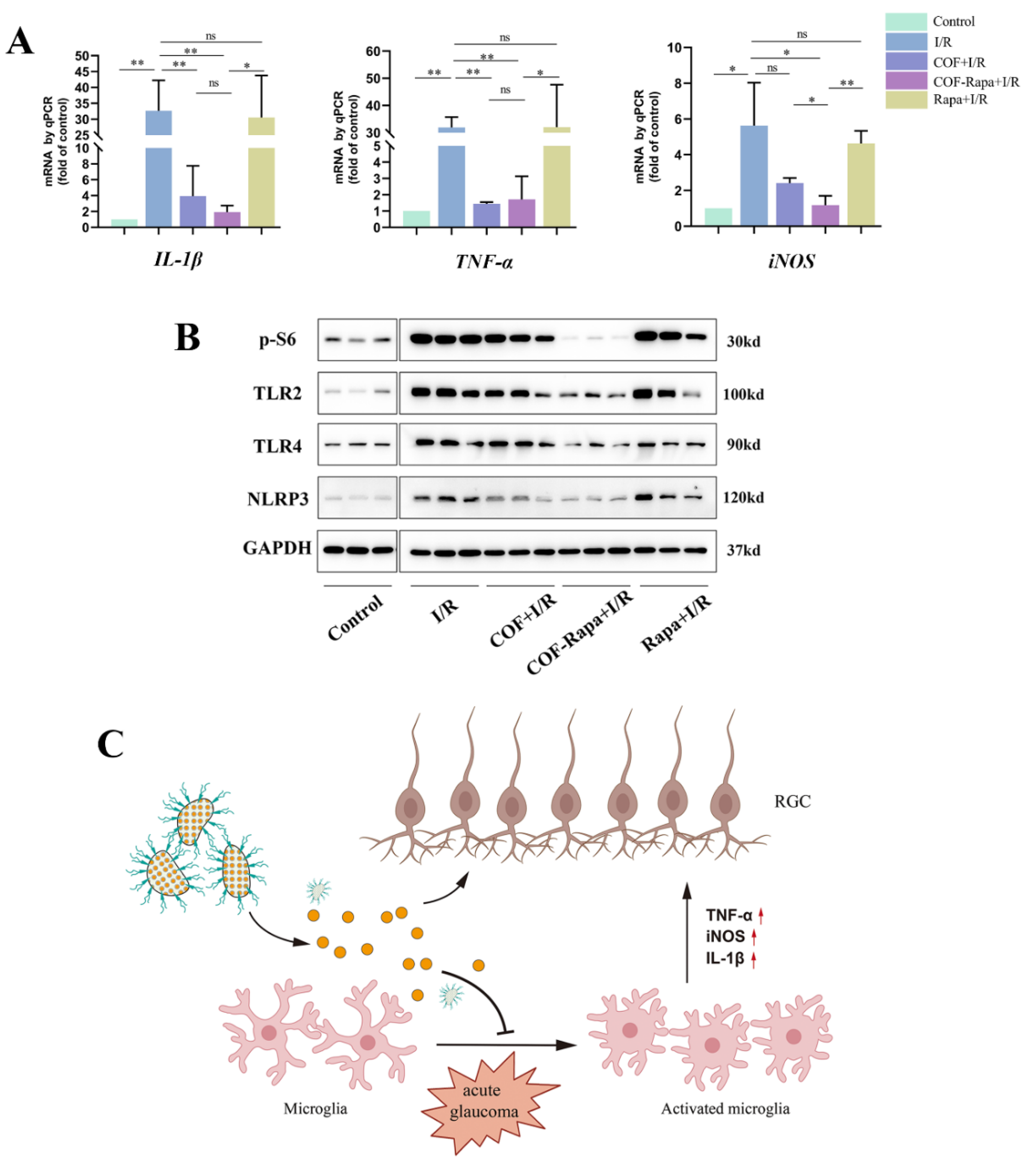 Polymers 14 03265 g006