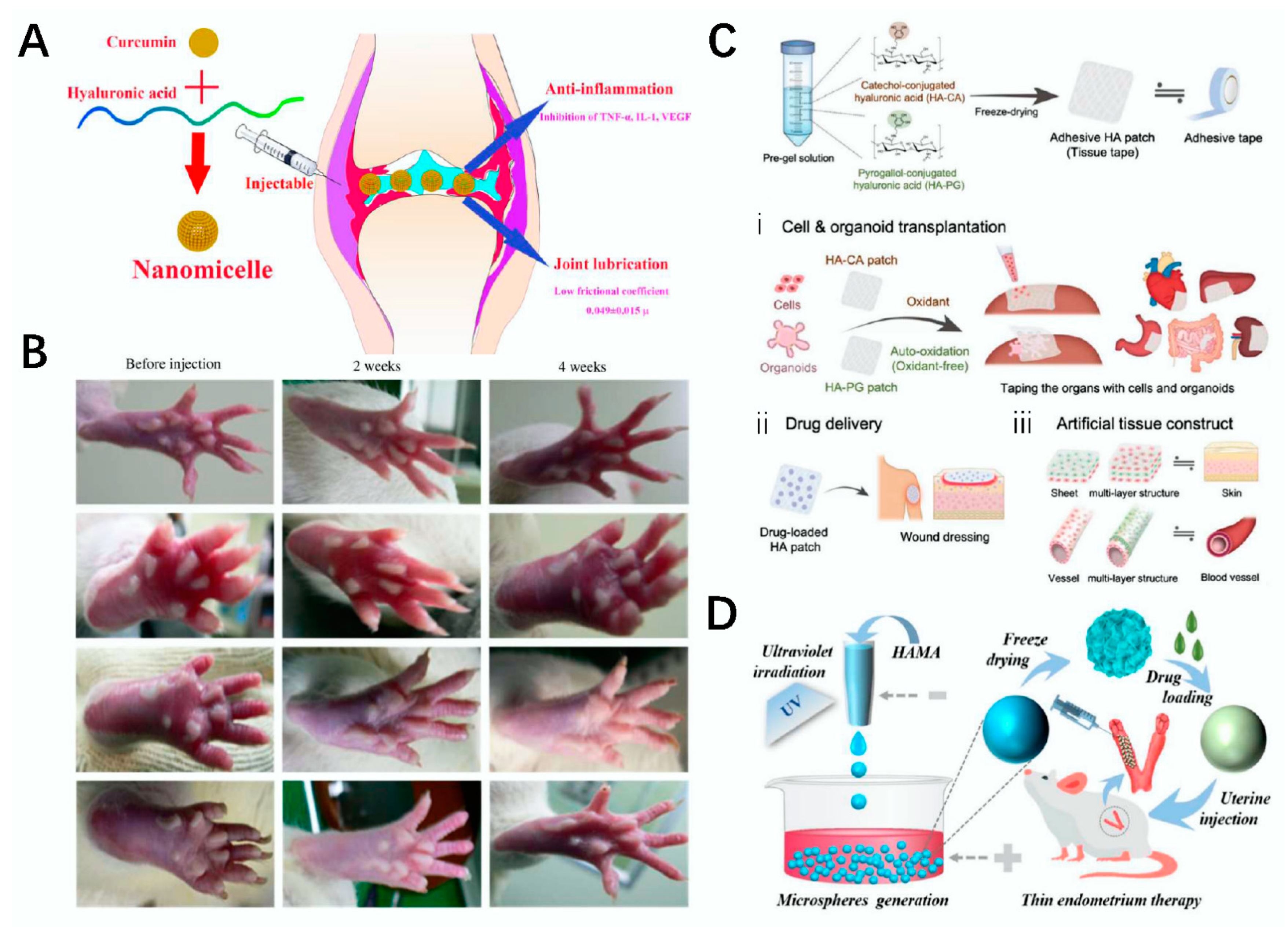 Polymers 14 03268 g009 Polymers 14 03268 g009