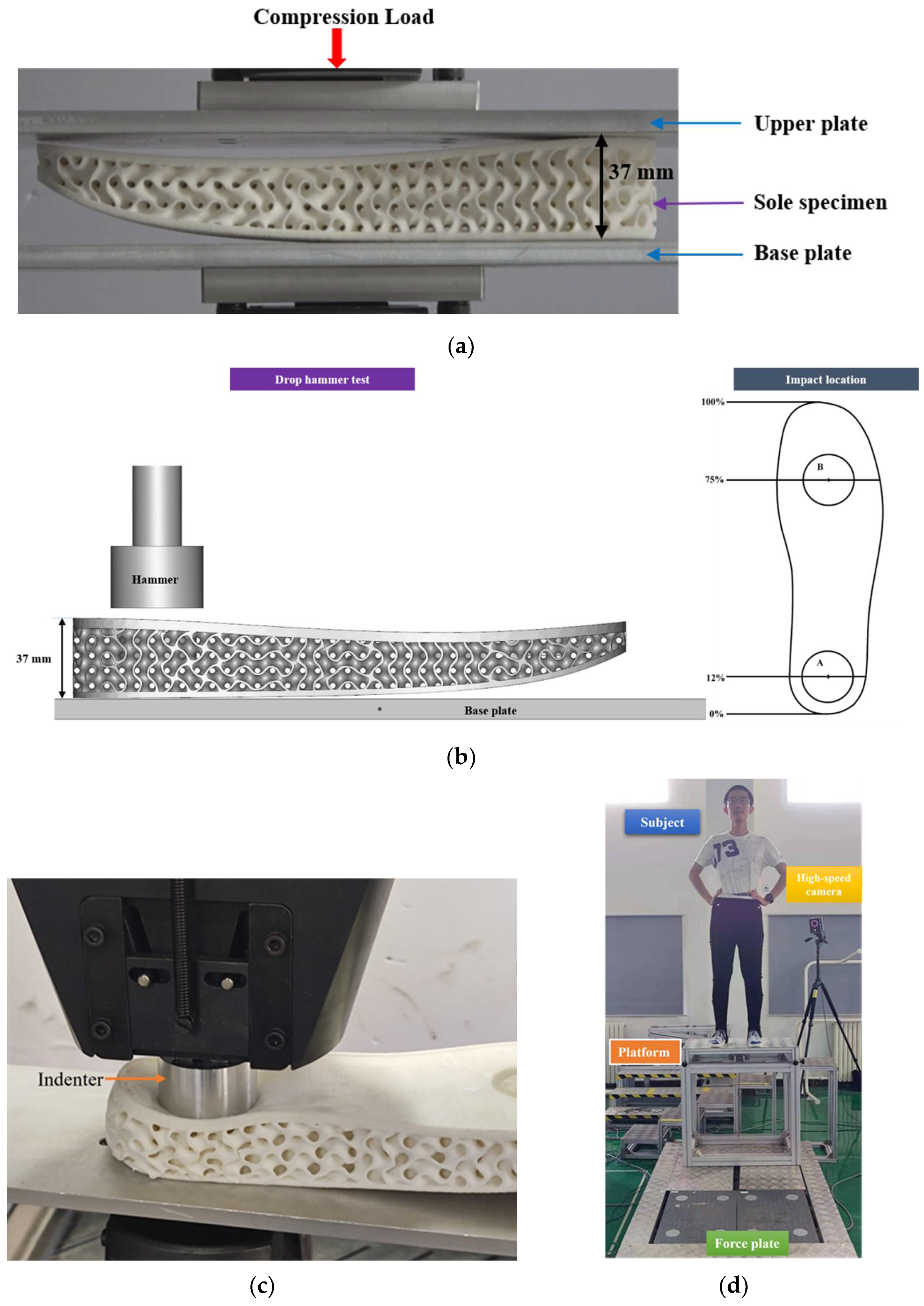 Polymers 14 03270 g004