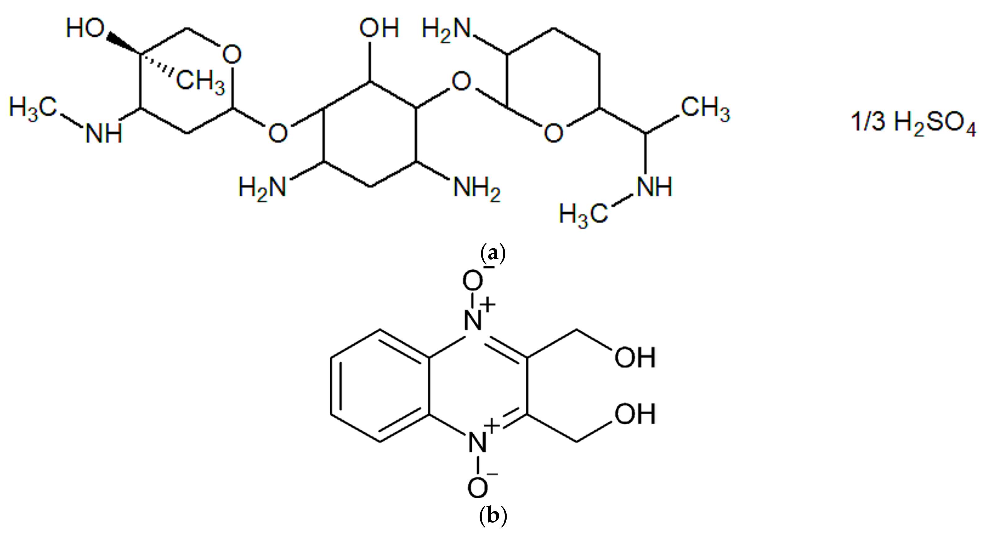Polymers 14 03271 g001