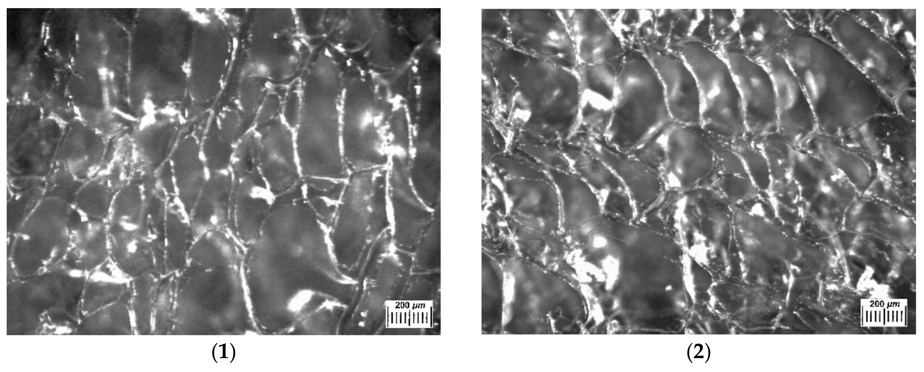 Polymers 14 03271 g003a