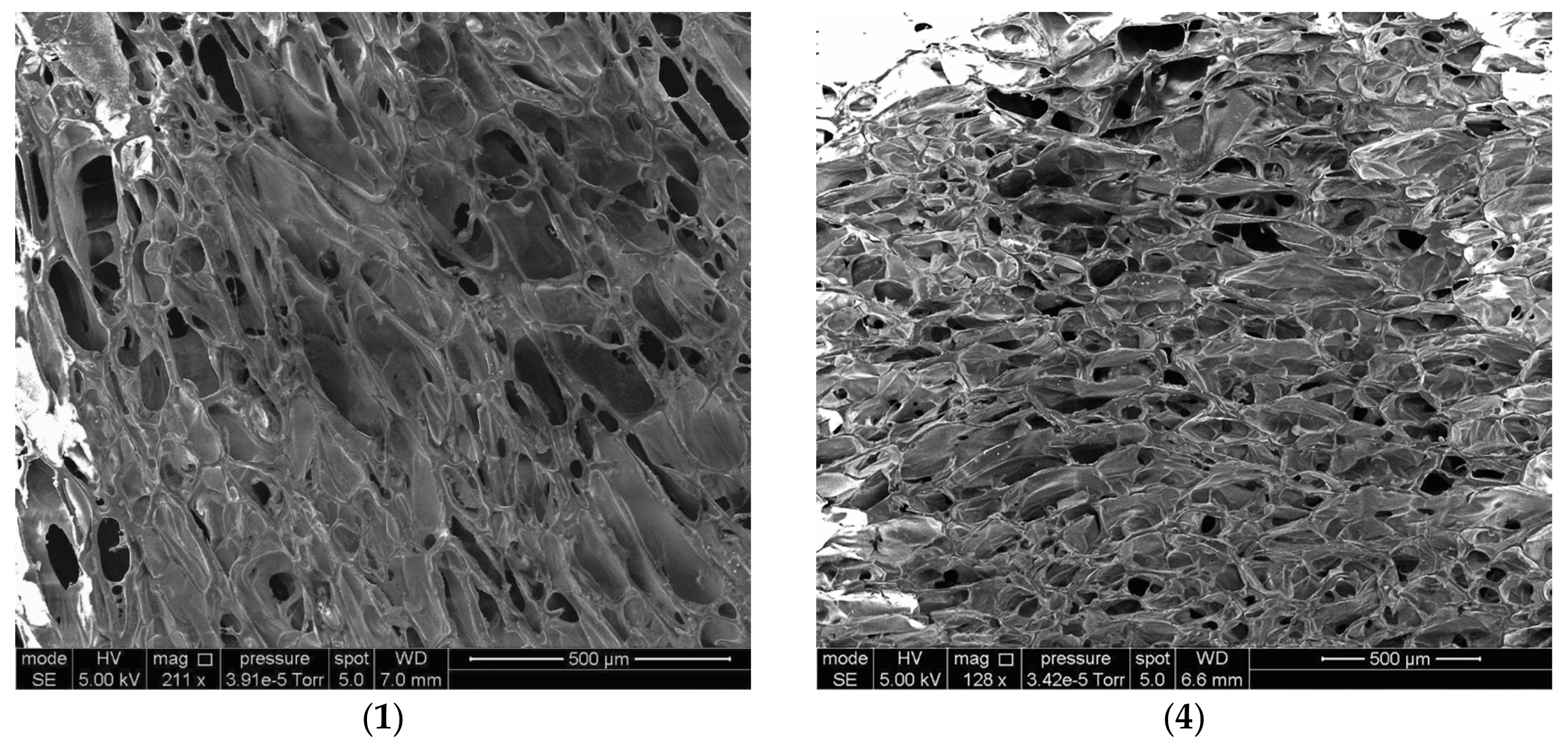 Polymers 14 03271 g004