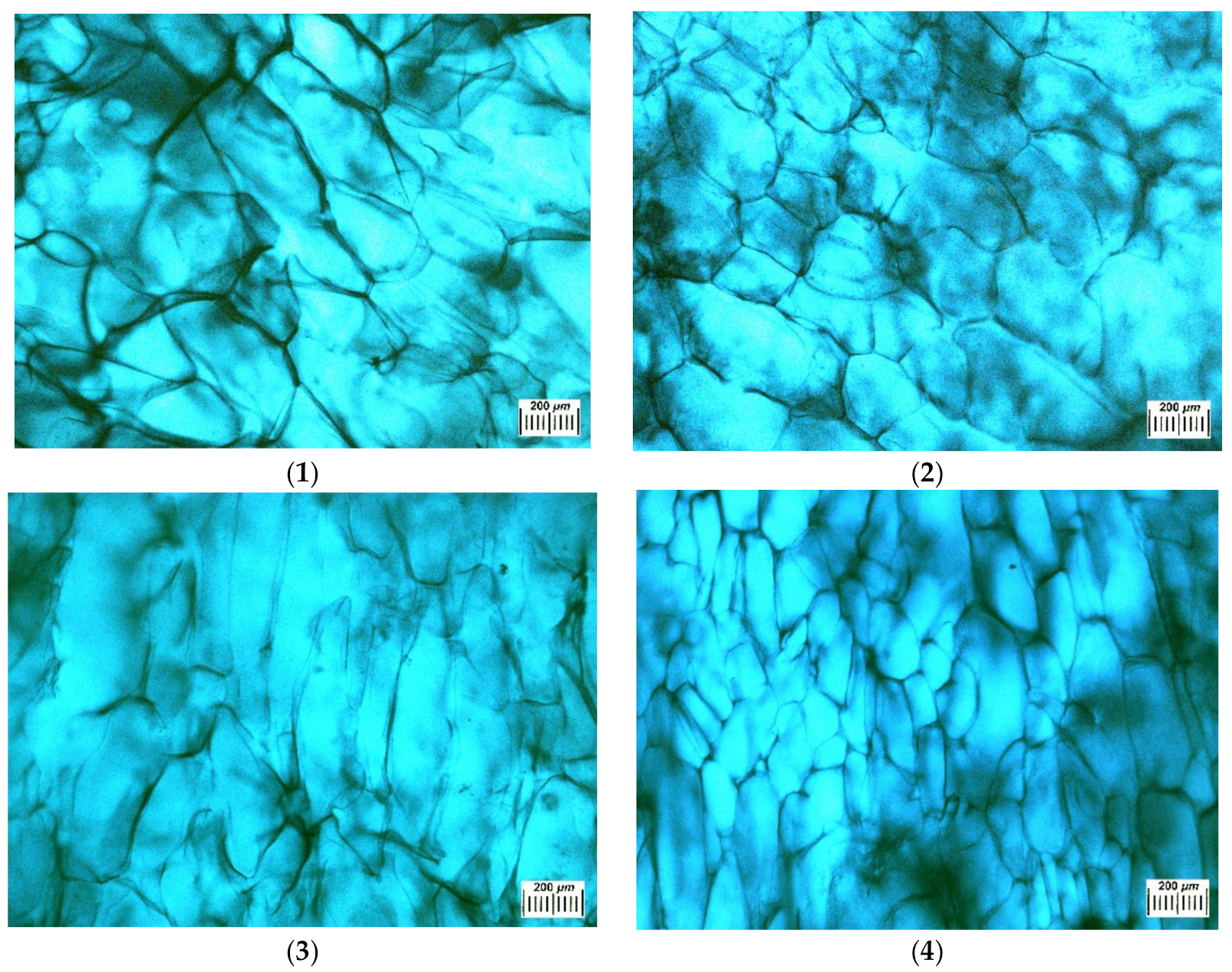 Polymers 14 03271 g005