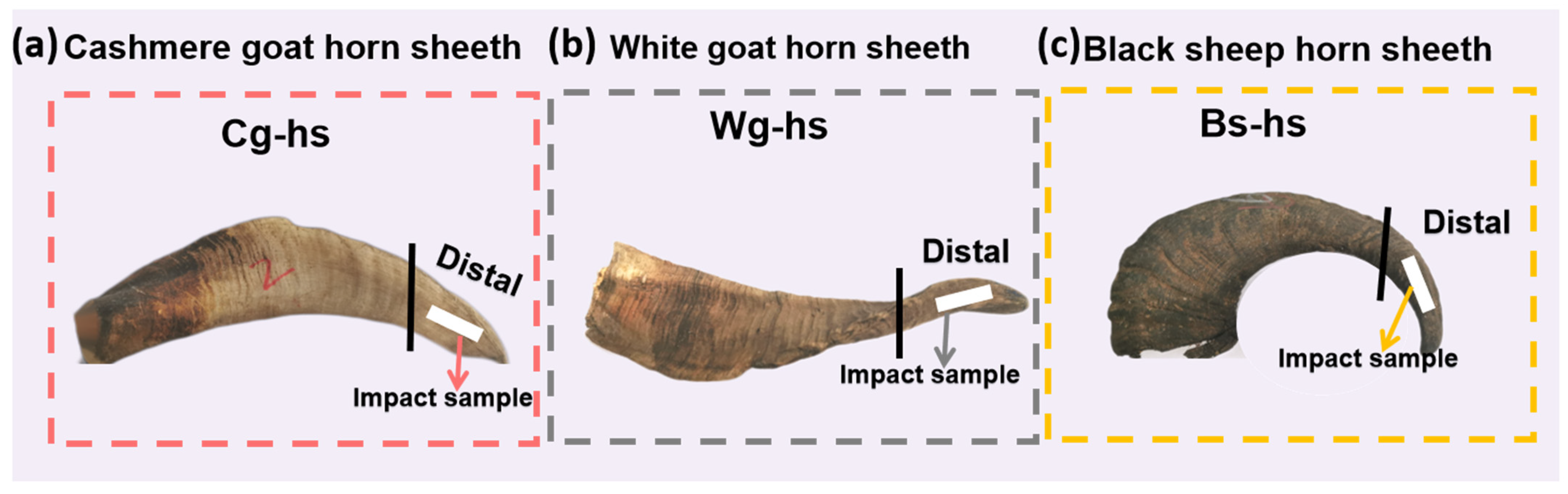 Polymers 14 03272 g001