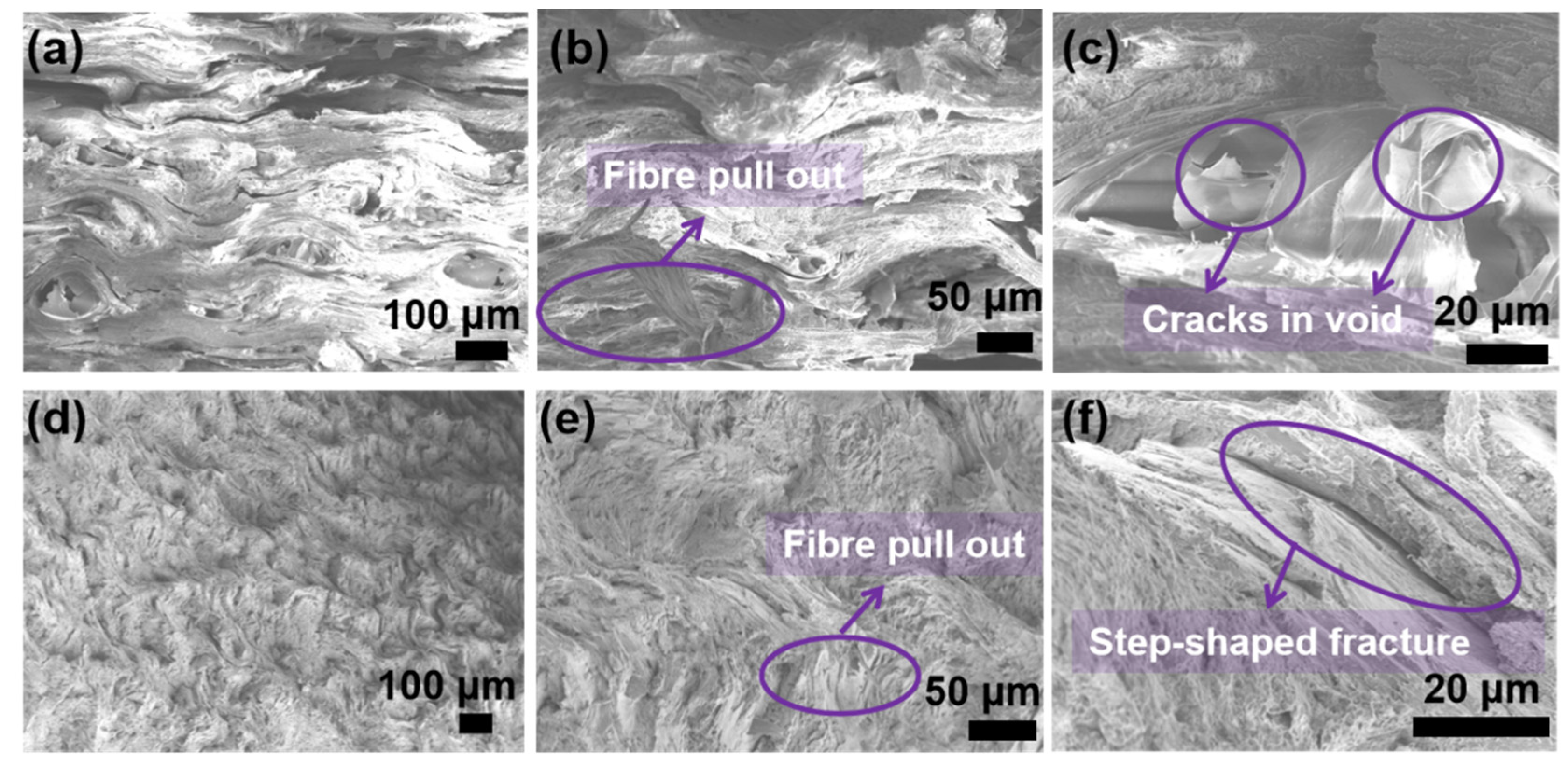 Polymers 14 03272 g008